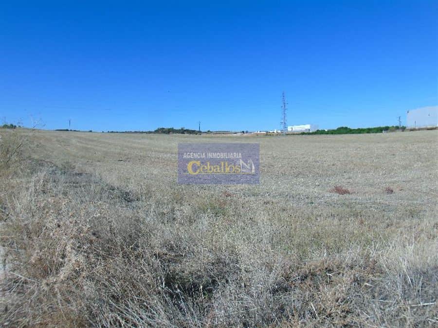 Terreno - Fontanar - Foto 1