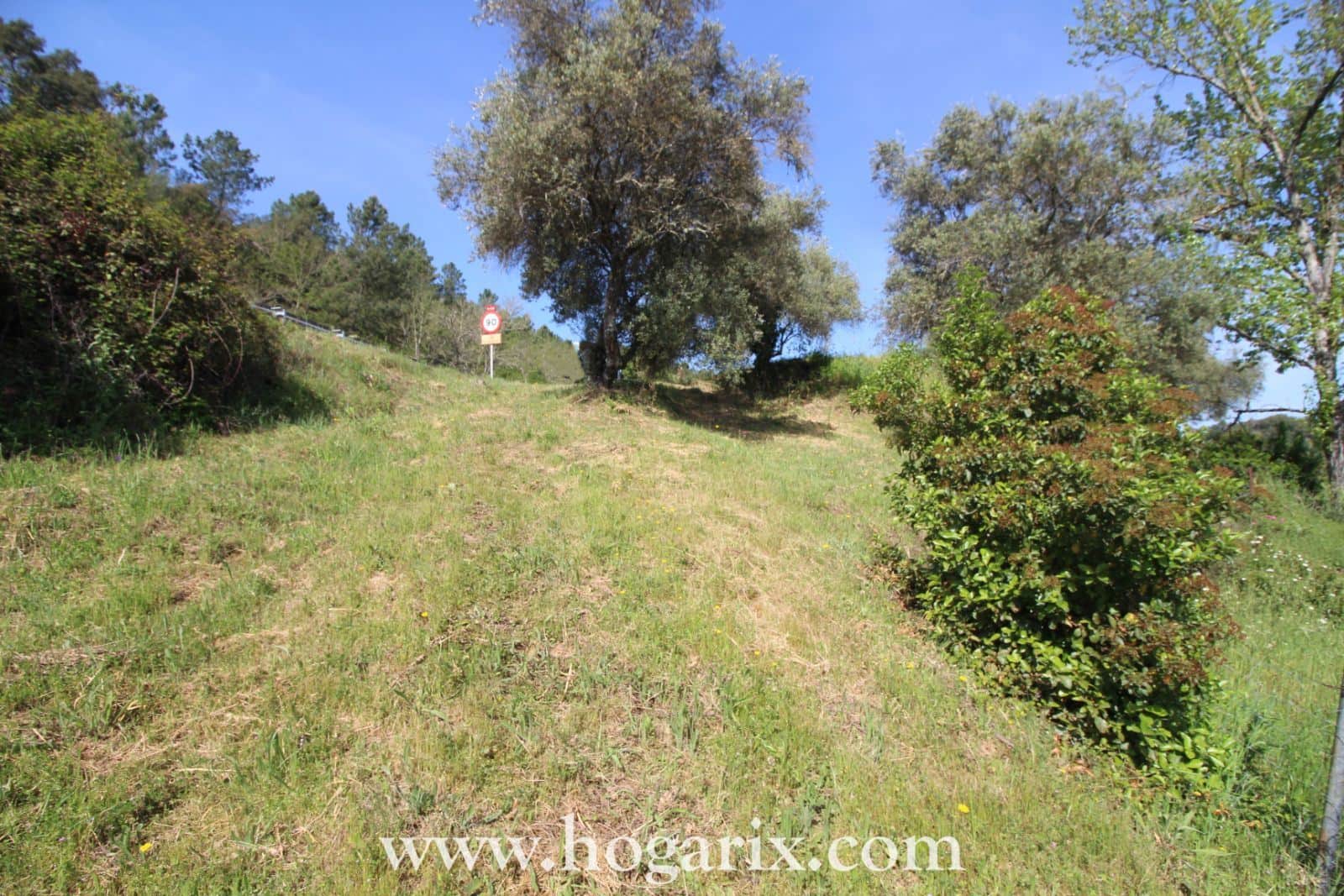 Finca Postura de las Chinas - Foto 5