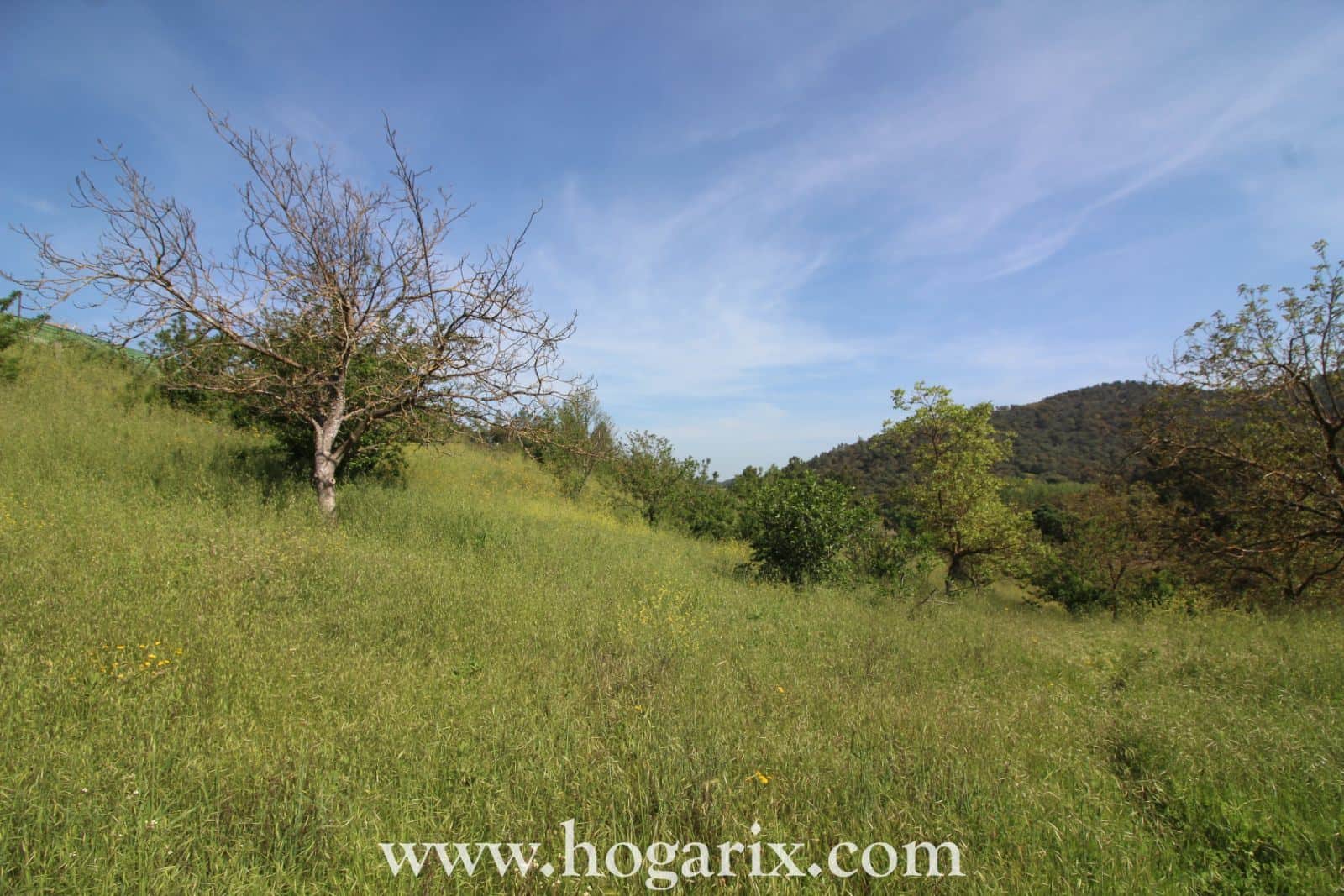 Finca Postura de las Chinas - Foto 2