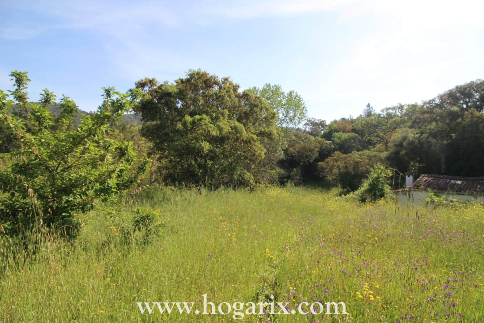 Finca Postura de las Chinas - Foto 1