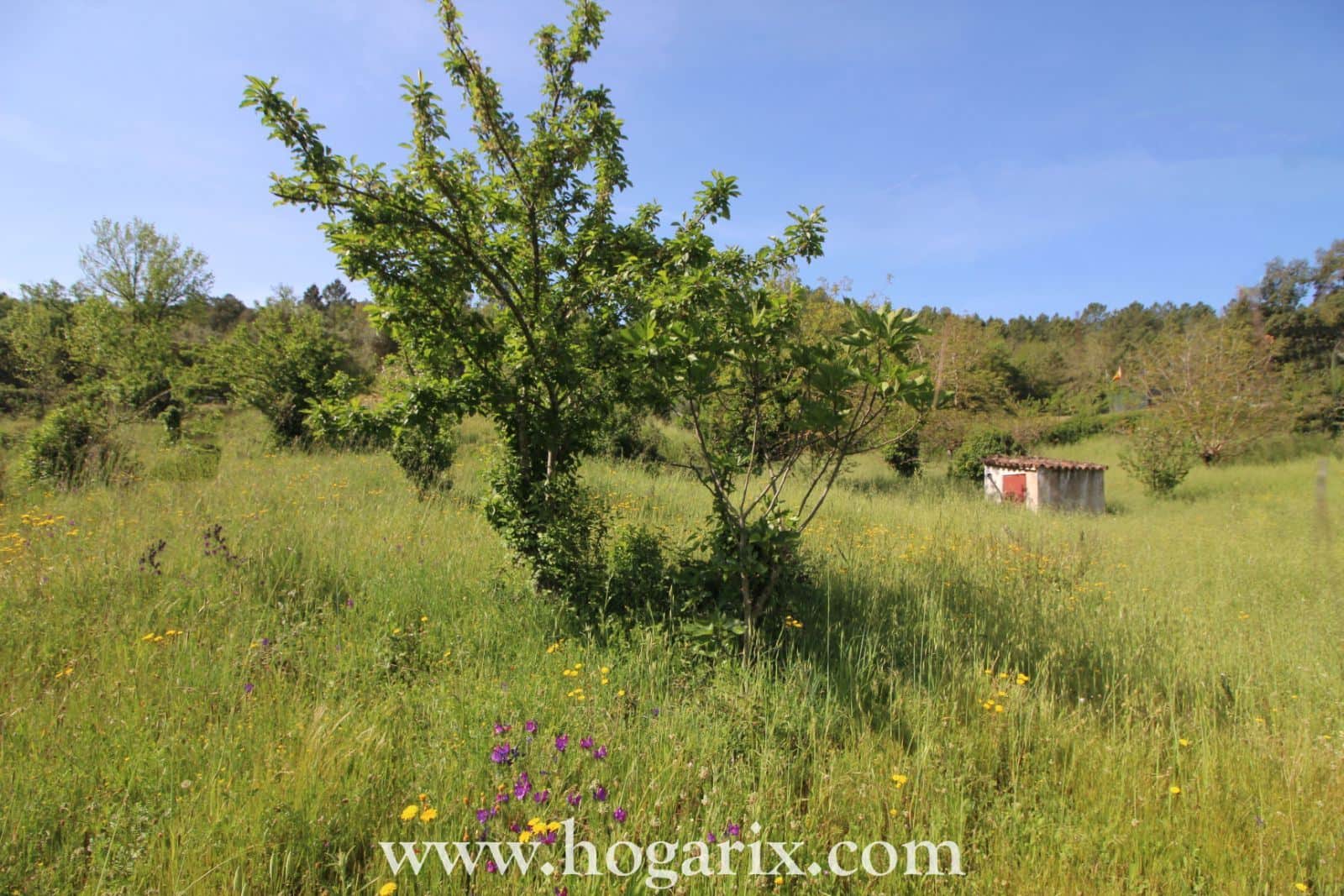 Finca Postura de las Chinas - Foto 4