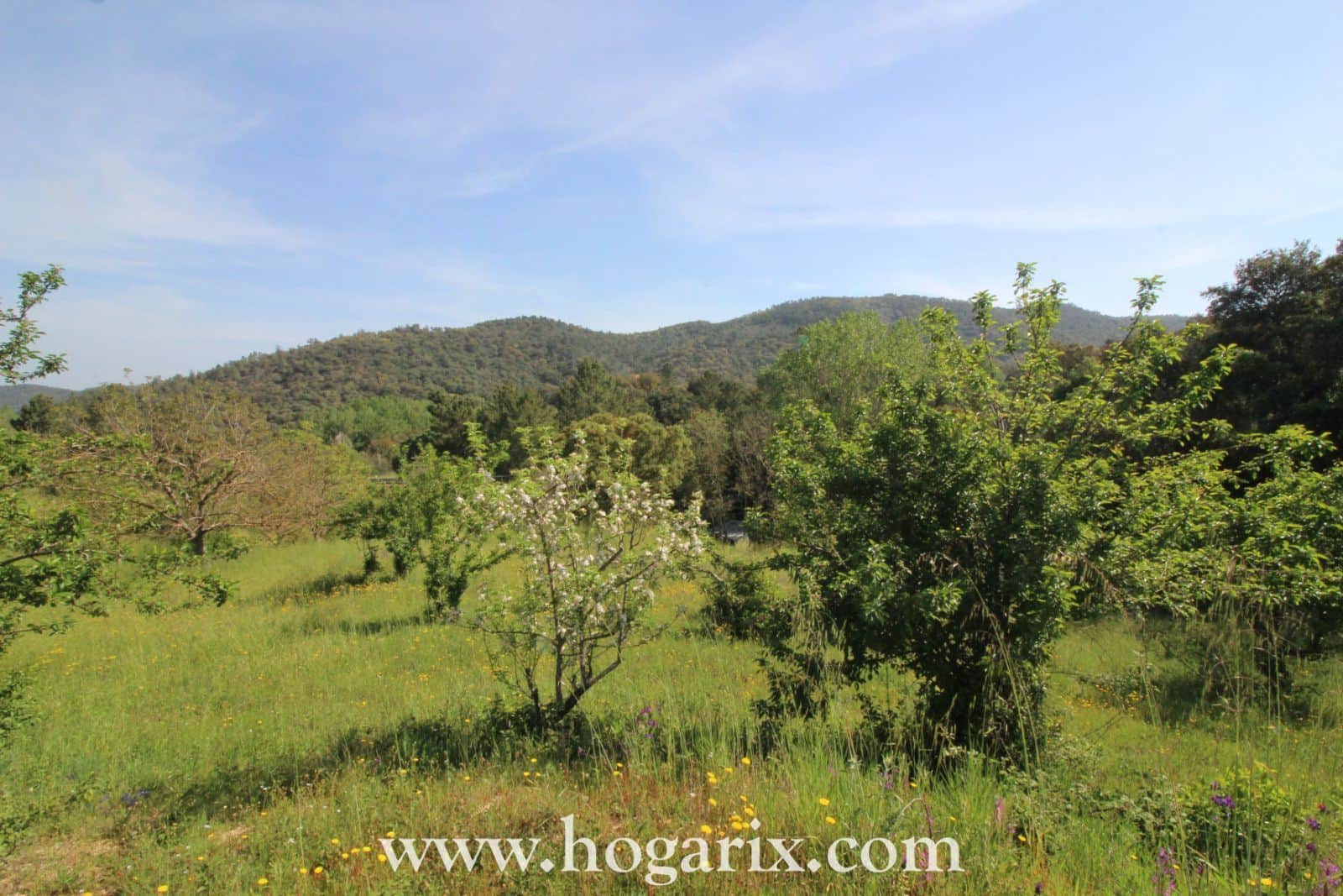 Finca Postura de las Chinas - Foto 3