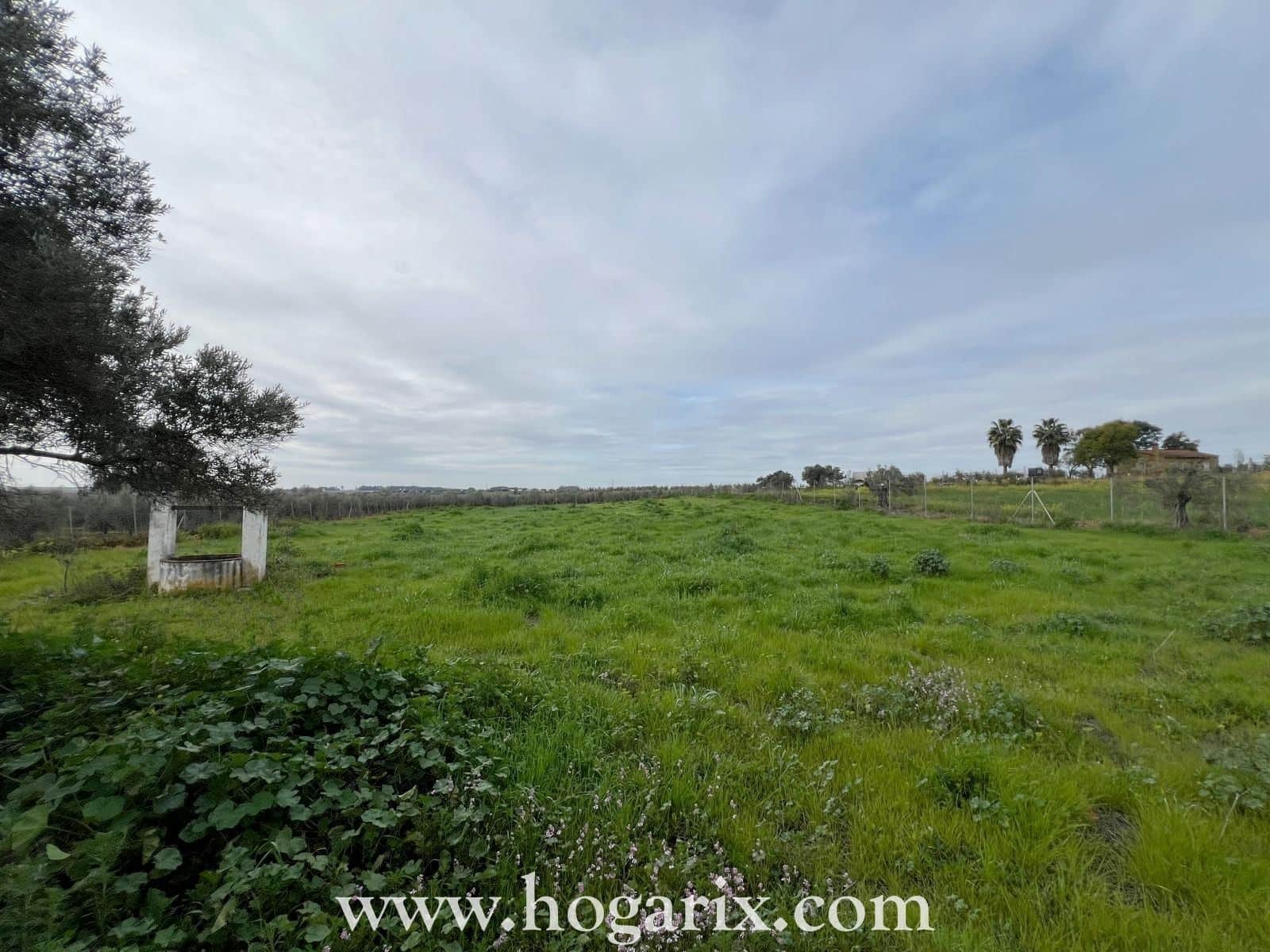 Finca en Rociana - Foto 1