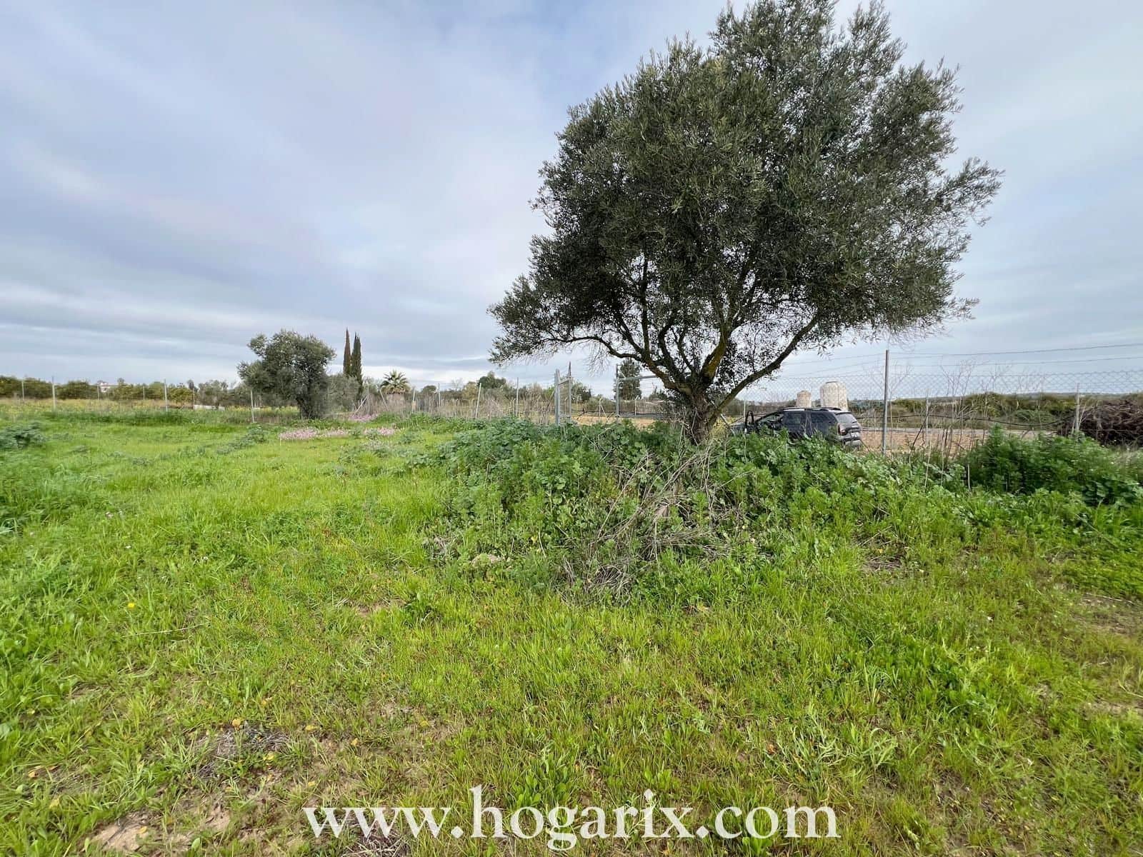 Finca en Rociana - Foto 3