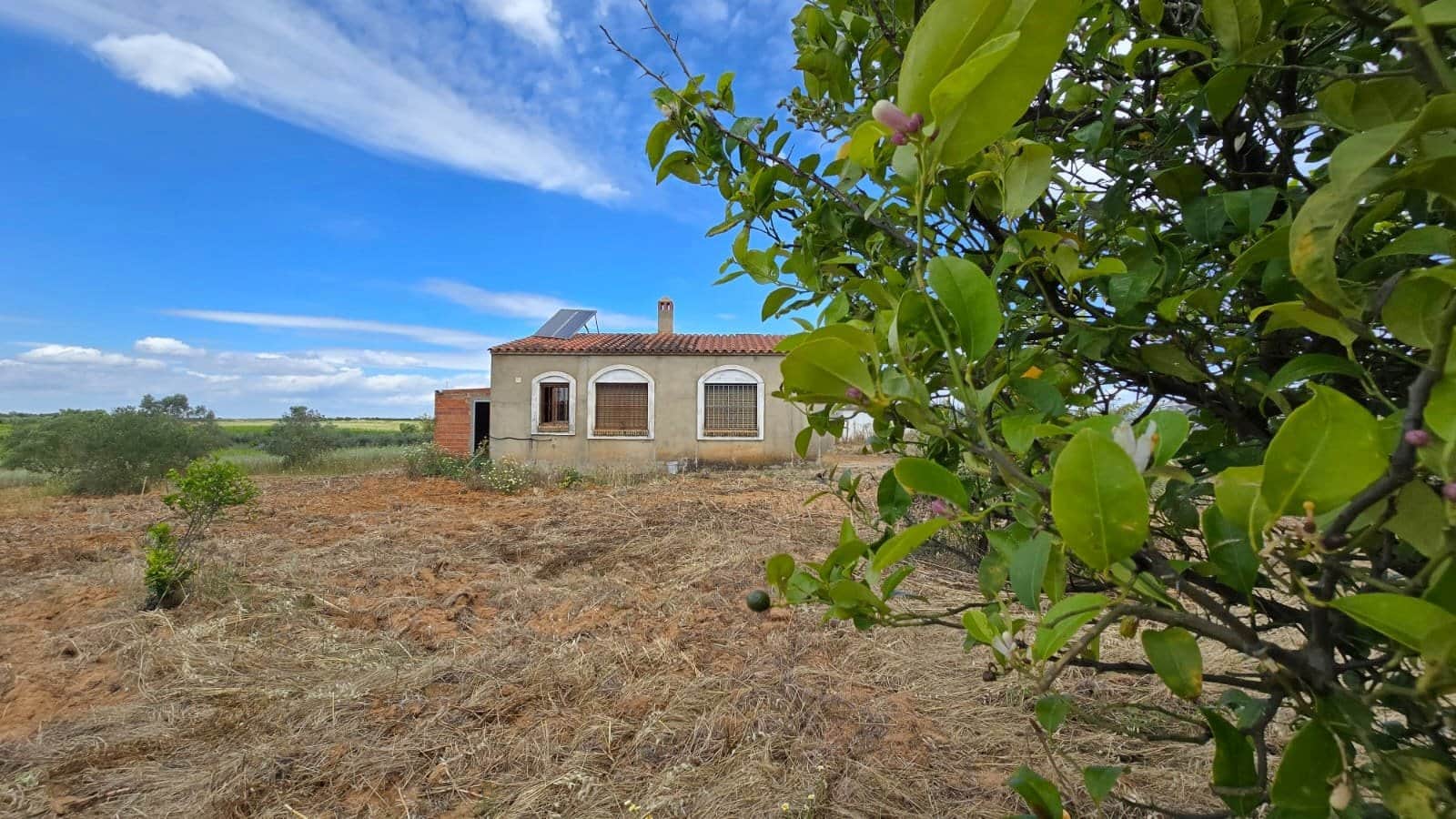 Parcela en Bollullos Par del Condado - Foto 3