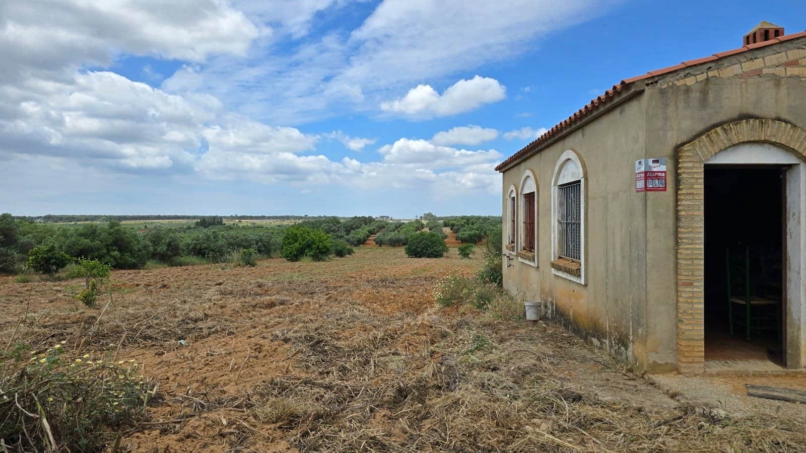 Parcela en Bollullos Par del Condado - Foto 1