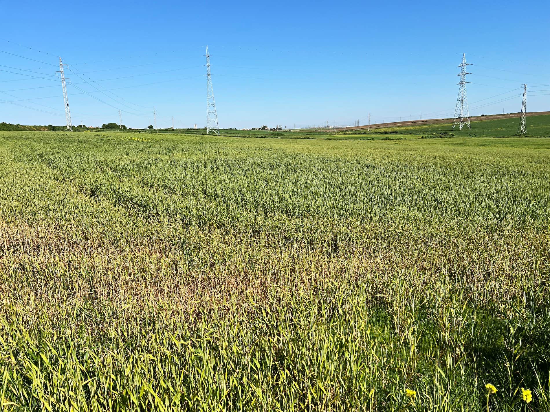 Terreno en venta en Huelva - Foto 4