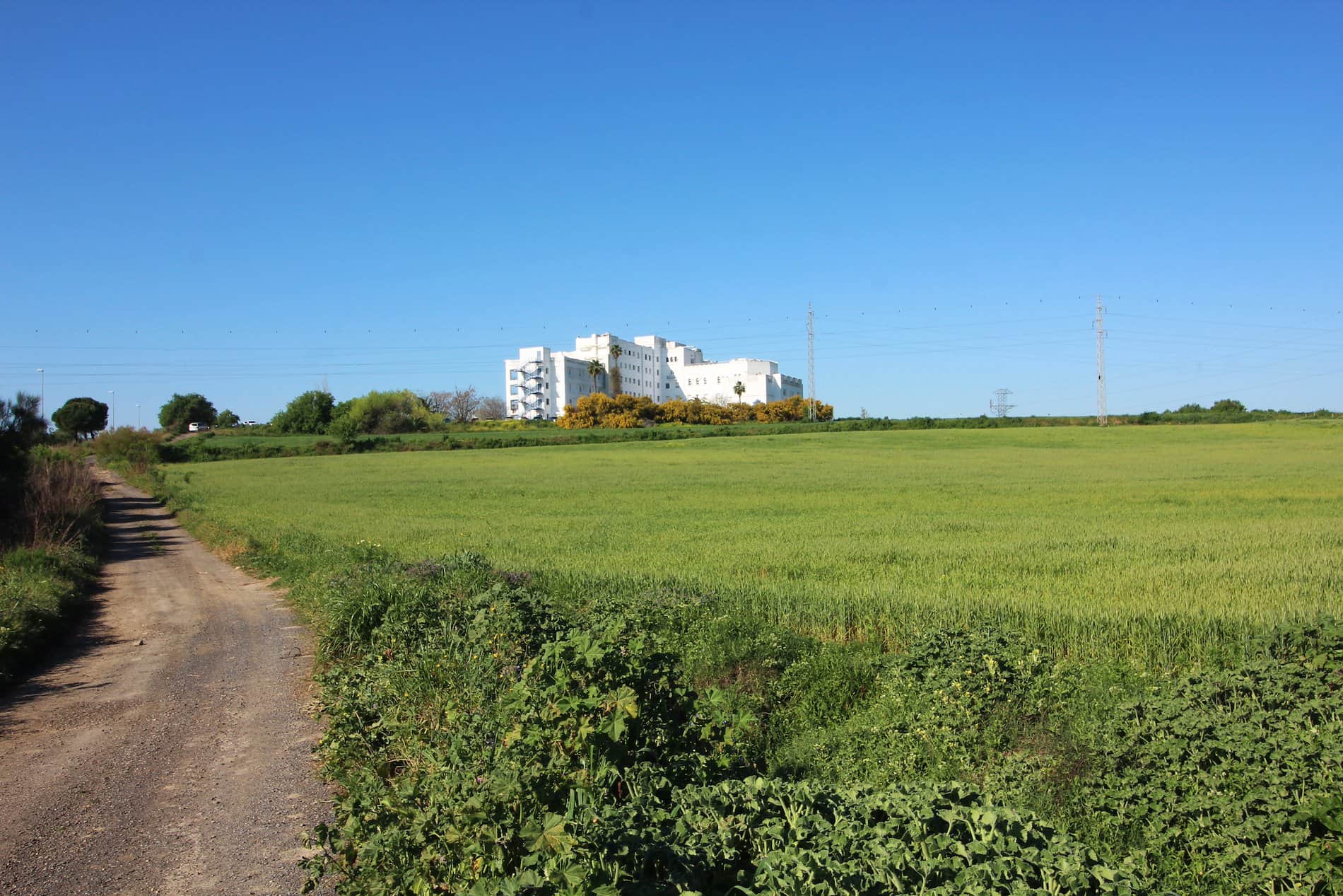Terreno en venta en Huelva - Foto 3