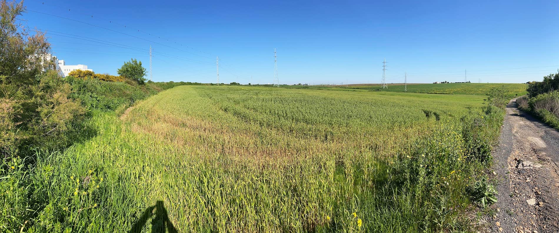 Terreno en venta en Huelva - Foto 5