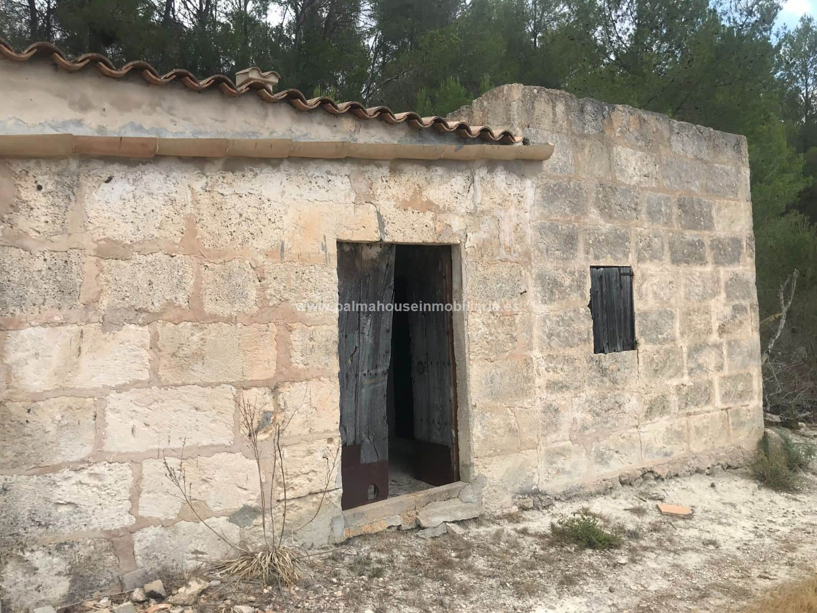 ENORME FINCA CON CONSTRUCCUION MUY PRIVADA!! - Foto 1