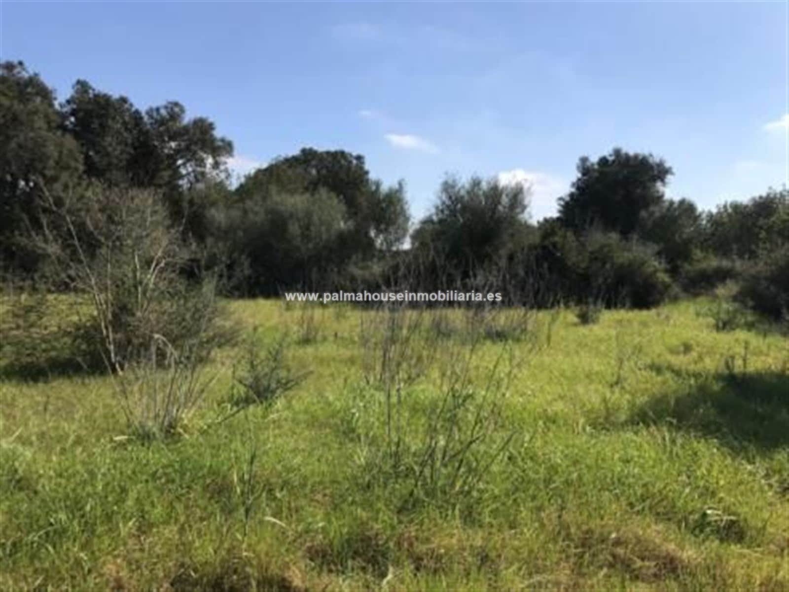 TERRENO MUY PRIVADO Y CON ENCANTO - Foto 2