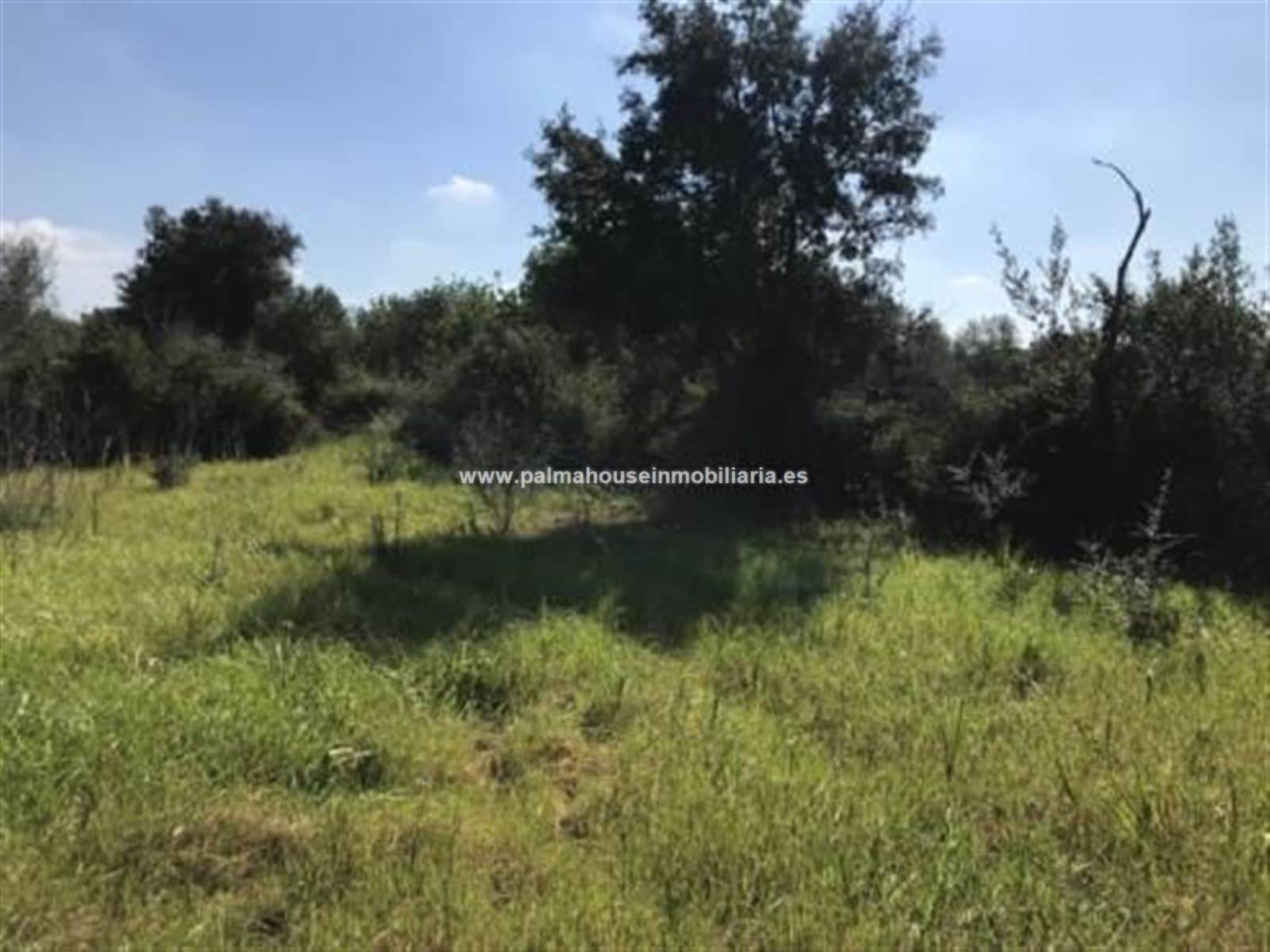 TERRENO MUY PRIVADO Y CON ENCANTO - Foto 3