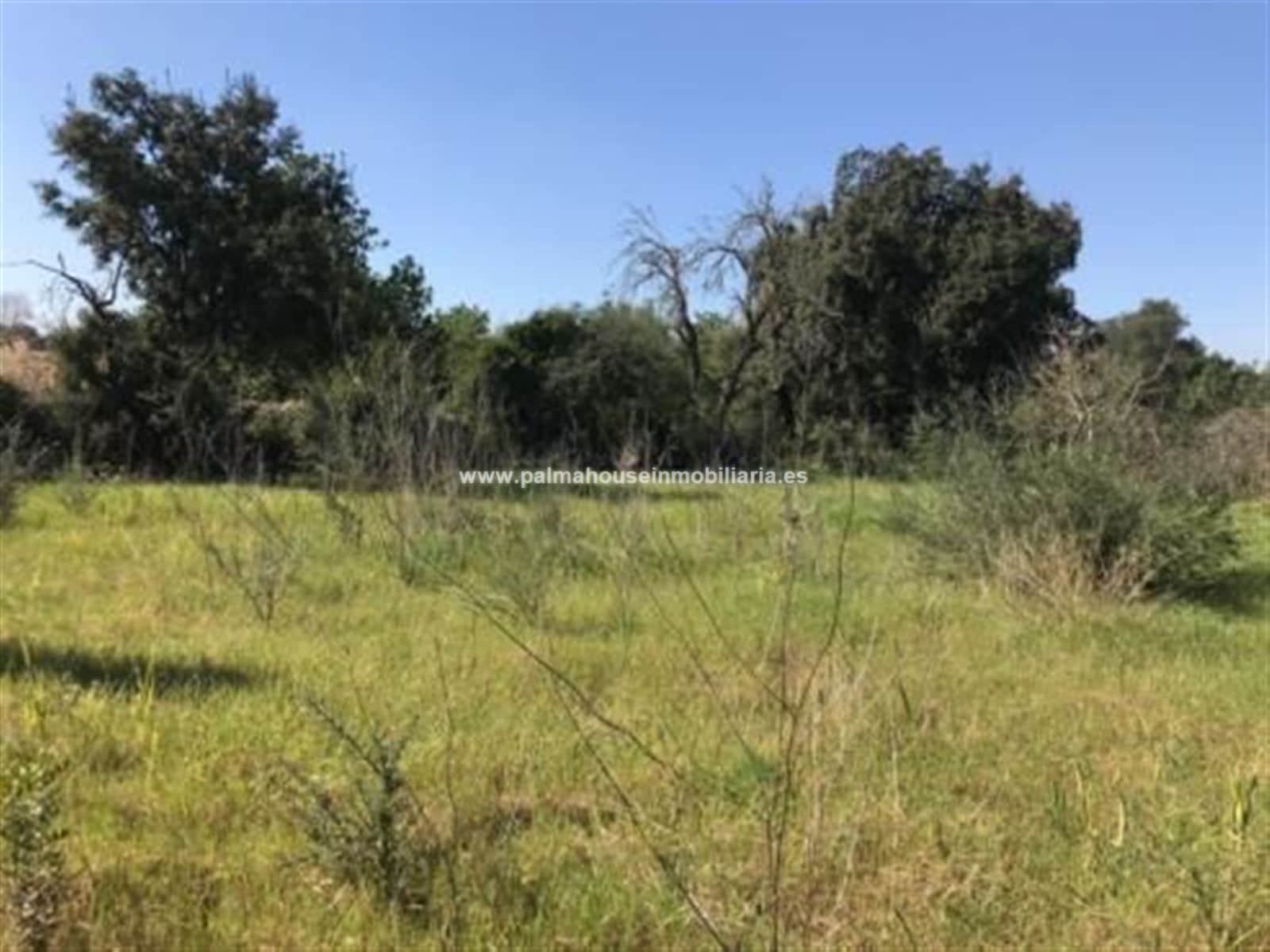 TERRENO MUY PRIVADO Y CON ENCANTO - Foto 5