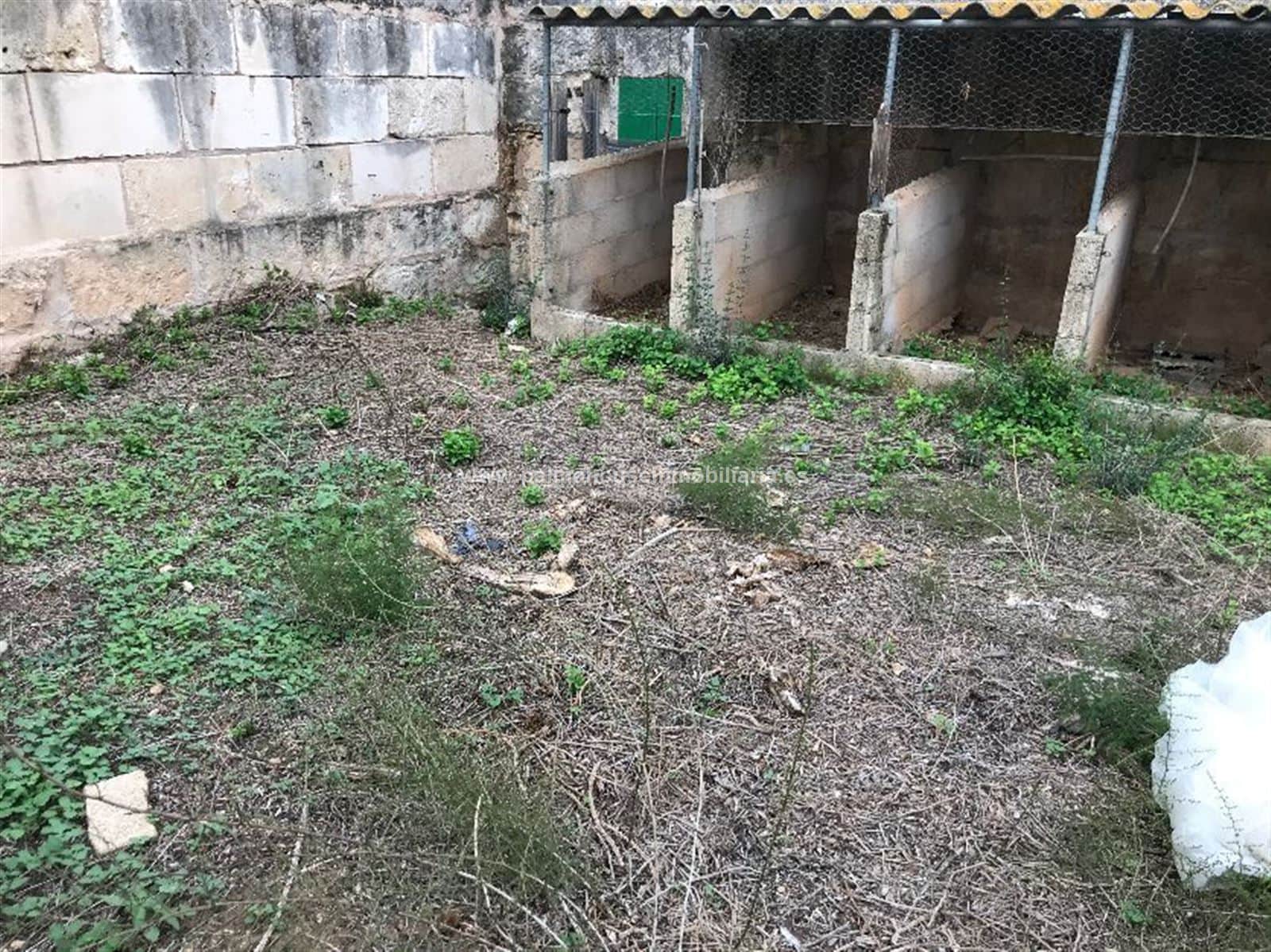 solar centrico en Muro - Foto 3