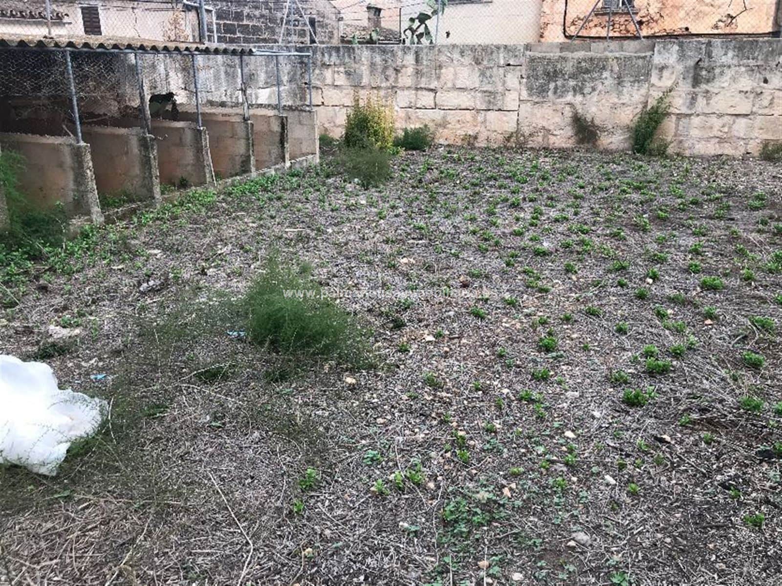 solar centrico en Muro - Foto 5