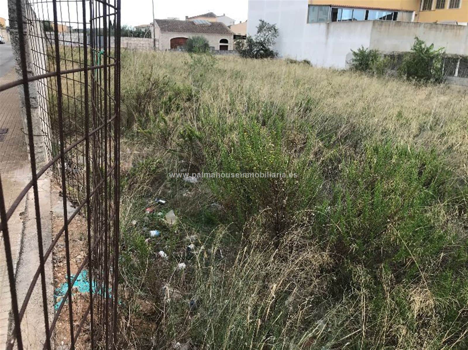 MEGA SOLAR URBANIZABLE CON VISTAS EN MURO - Foto 3