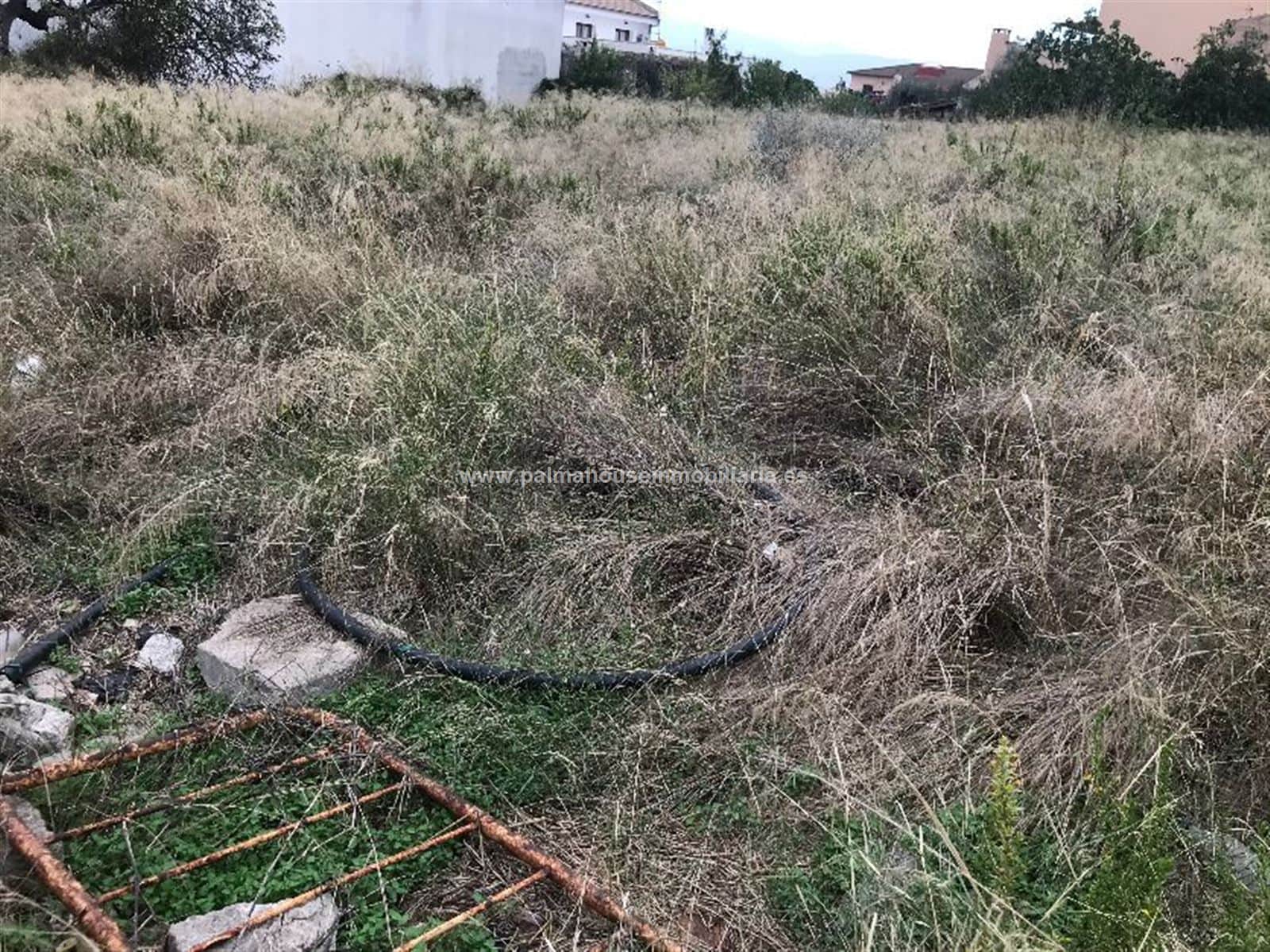 MEGA SOLAR URBANIZABLE CON VISTAS EN MURO - Foto 4