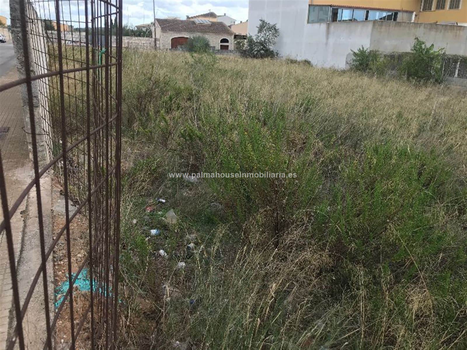 MEGA SOLAR URBANIZABLE CON VISTAS EN MURO - Foto 5