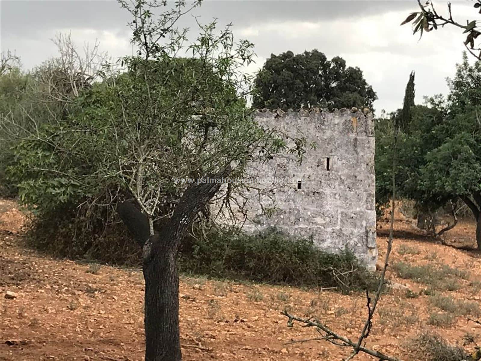 RUSTICA CON CASETA EN MURO - Foto 1