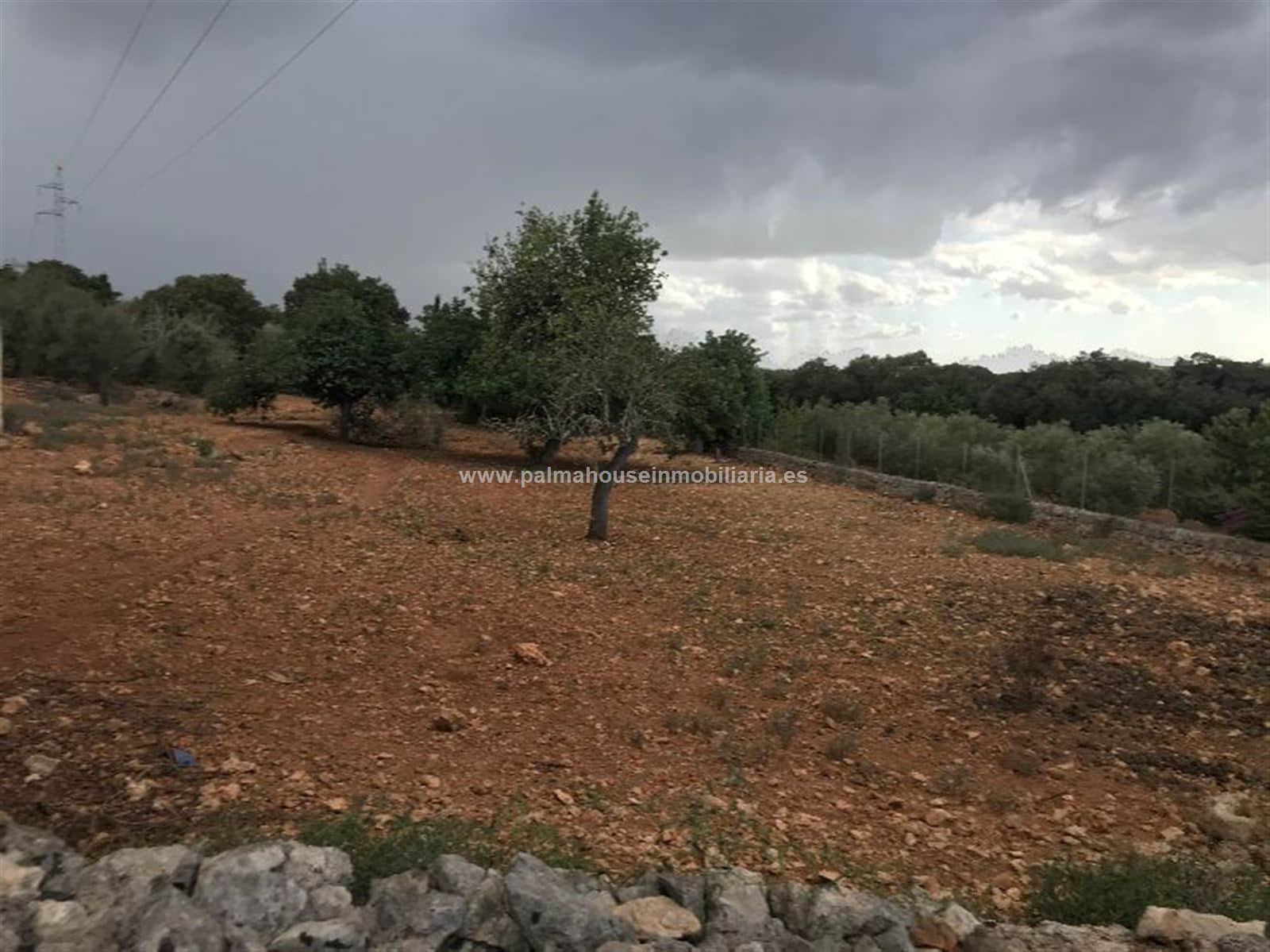 RUSTICA CON CASETA EN MURO - Foto 4