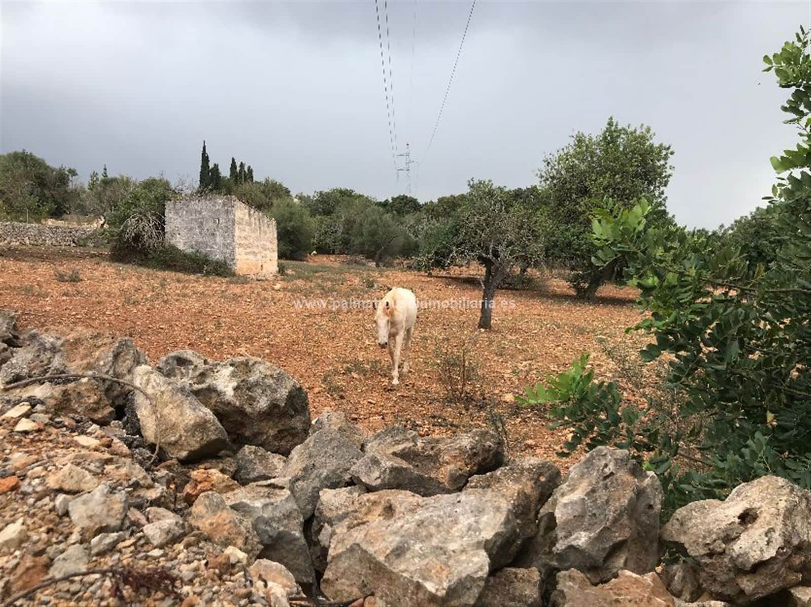 RUSTICA CON CASETA EN MURO - Foto 3