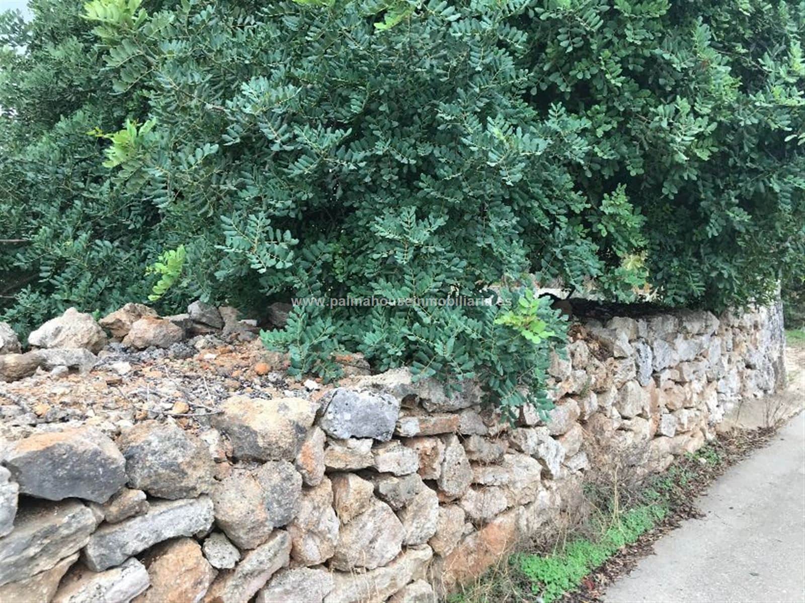 RUSTICA CON CASETA EN MURO - Foto 2