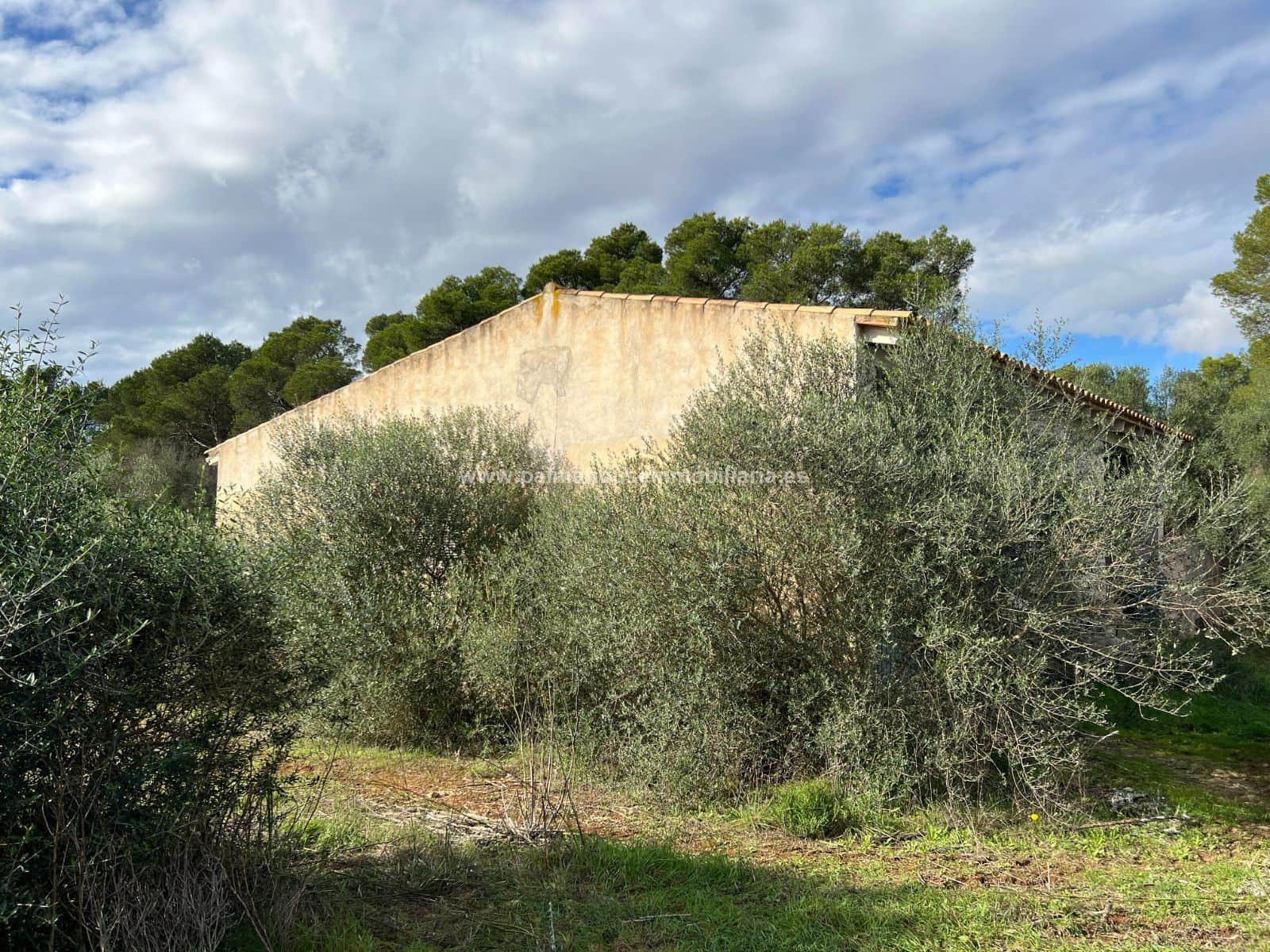 GRAN RUSTICA CON CASA PARA REFORMAR A TU GUSTO!!! - Foto 4