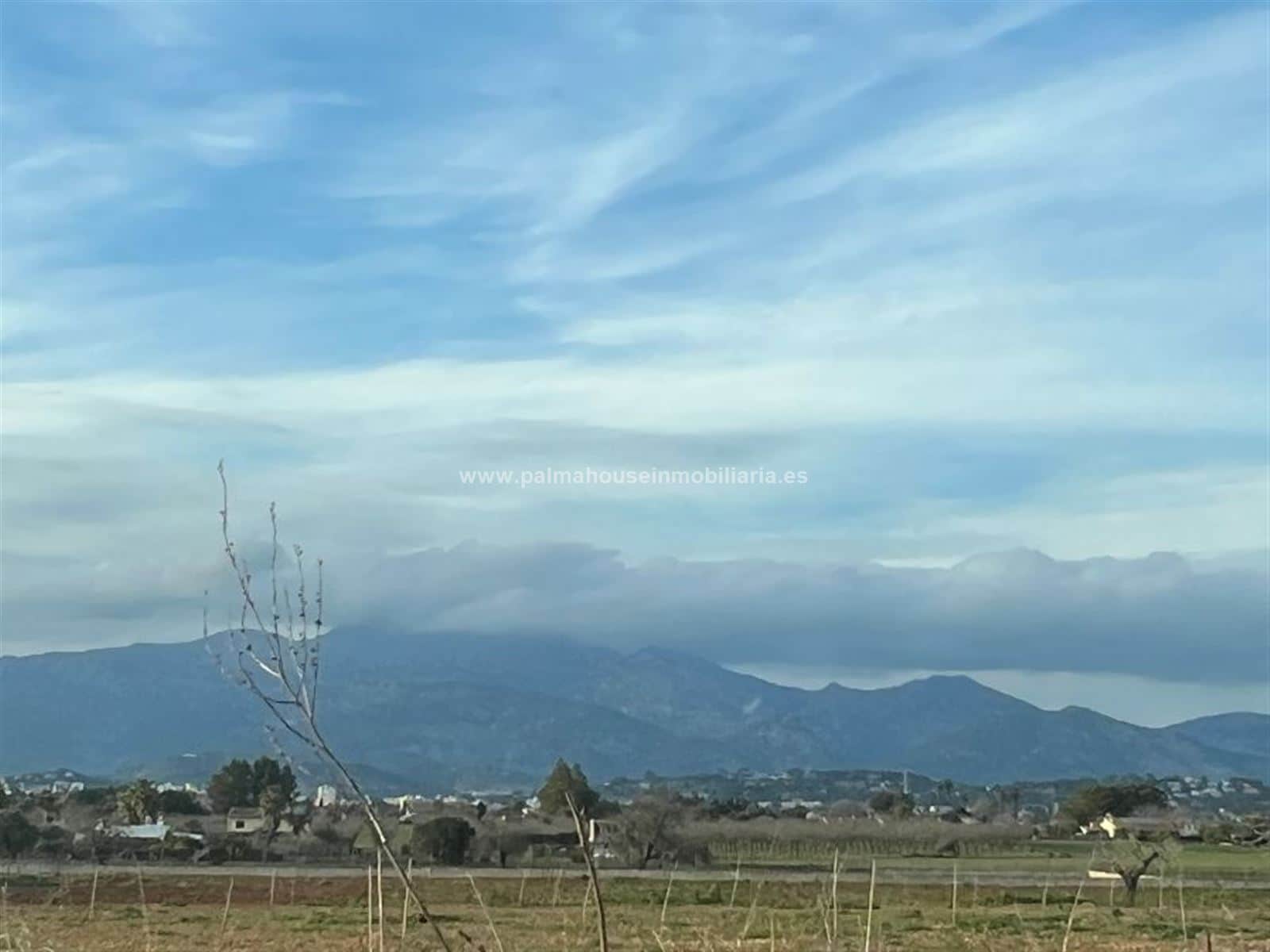 TERRENO EN INCA!! - Foto 2