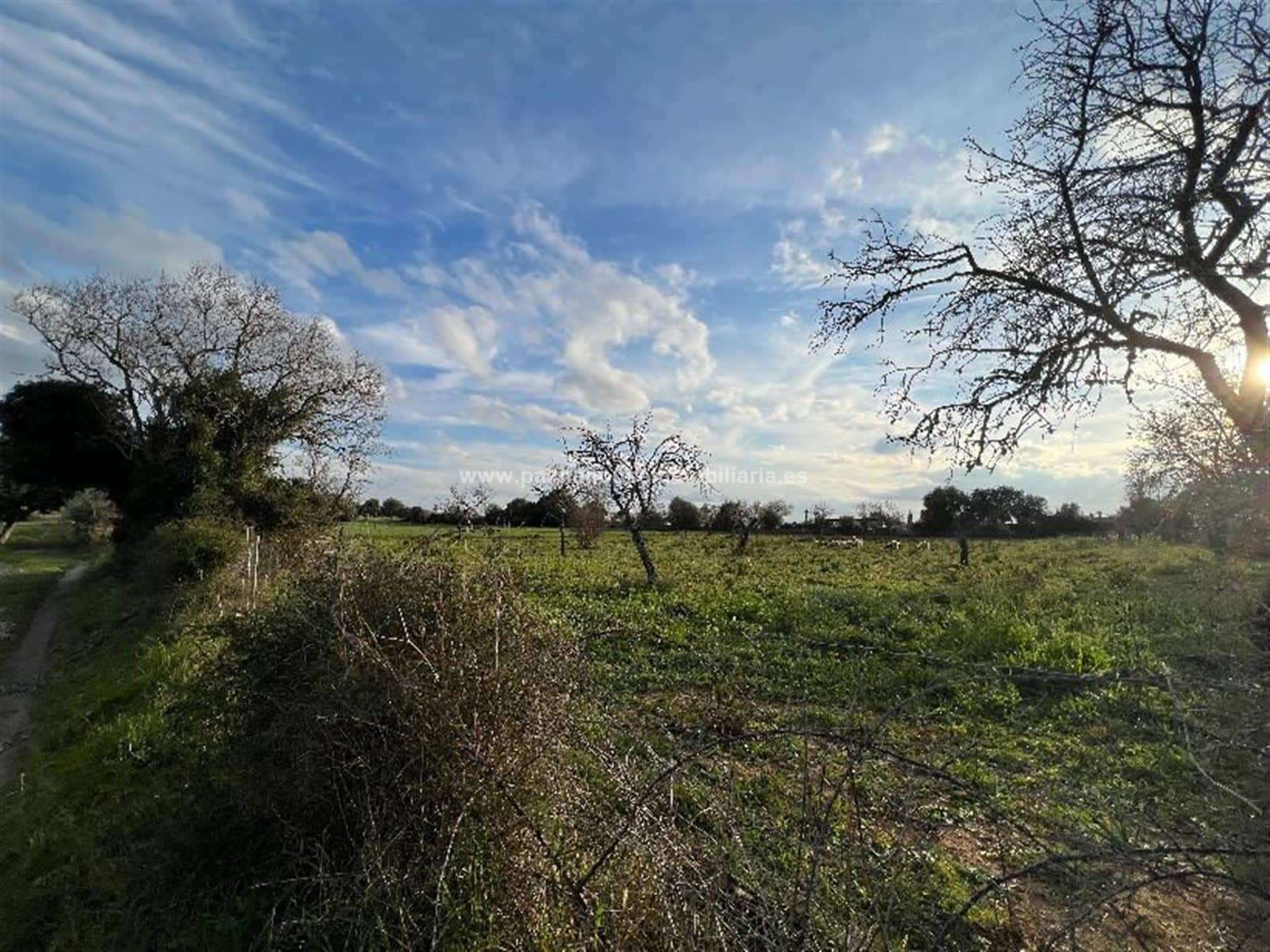 TERRENO EN INCA!! - Foto 1