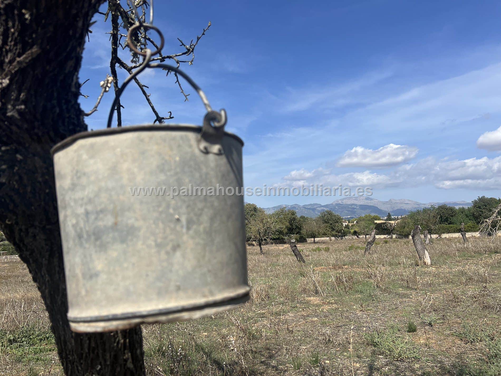 RUSTICA CON PEQUEÑA CONSTRUCCION - Foto 1