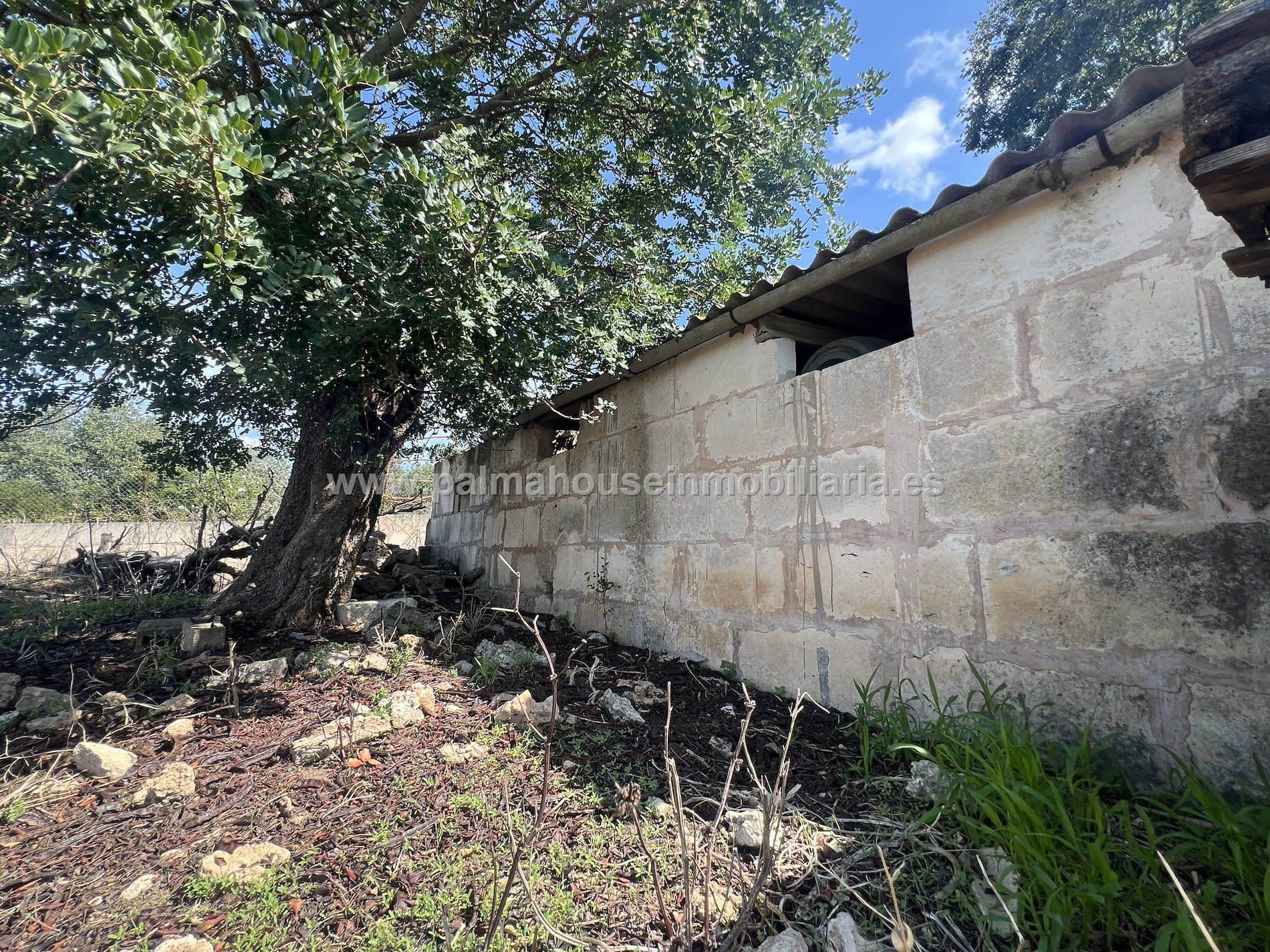 RUSTICA CON PEQUEÑA CONSTRUCCION - Foto 2