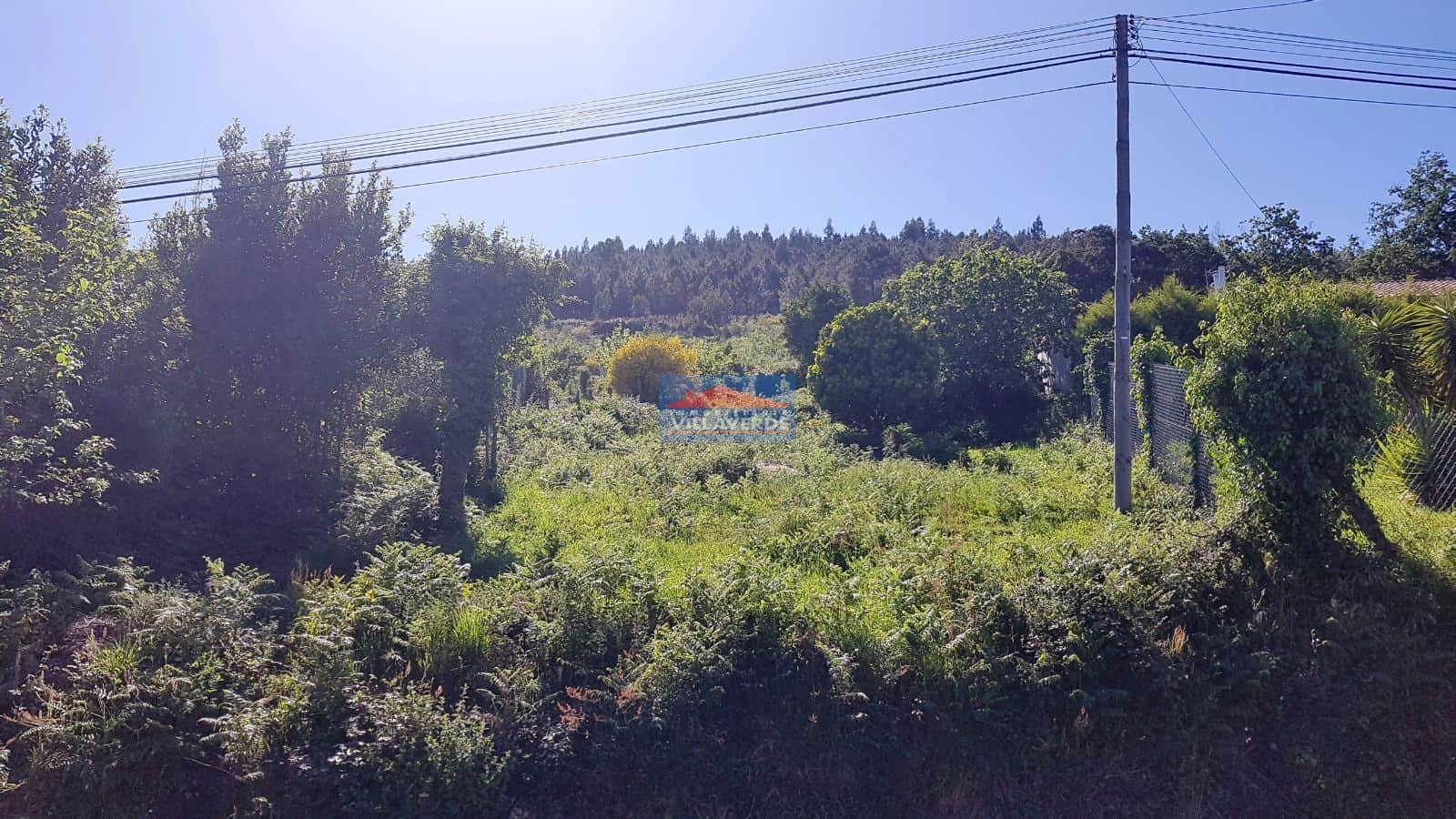 CASA PARA RESTAURAR CON PROYECTO Y LICENCIA - Foto 5