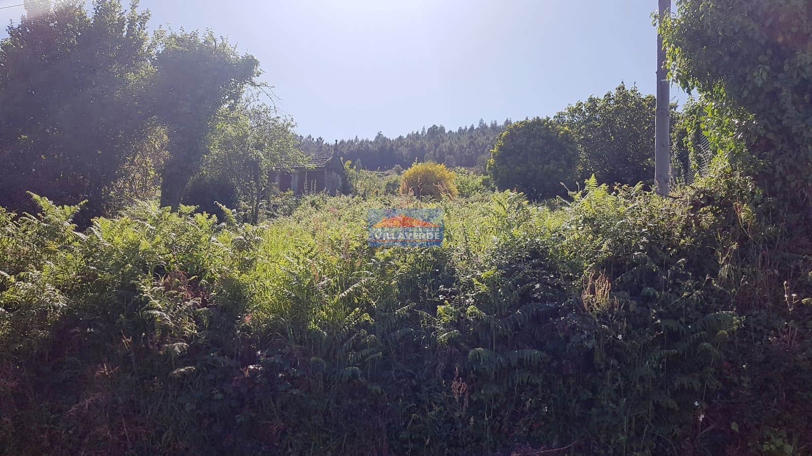 CASA PARA RESTAURAR CON PROYECTO Y LICENCIA - Foto 3