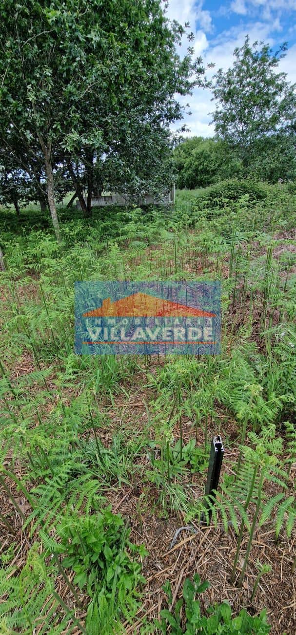 FINCA NO EDIFICABLE A 600 M2 DE LA PLAYA DE AREA DE BON - Foto 5