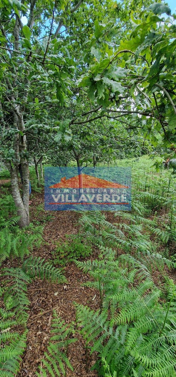 FINCA NO EDIFICABLE A 600 M2 DE LA PLAYA DE AREA DE BON - Foto 4