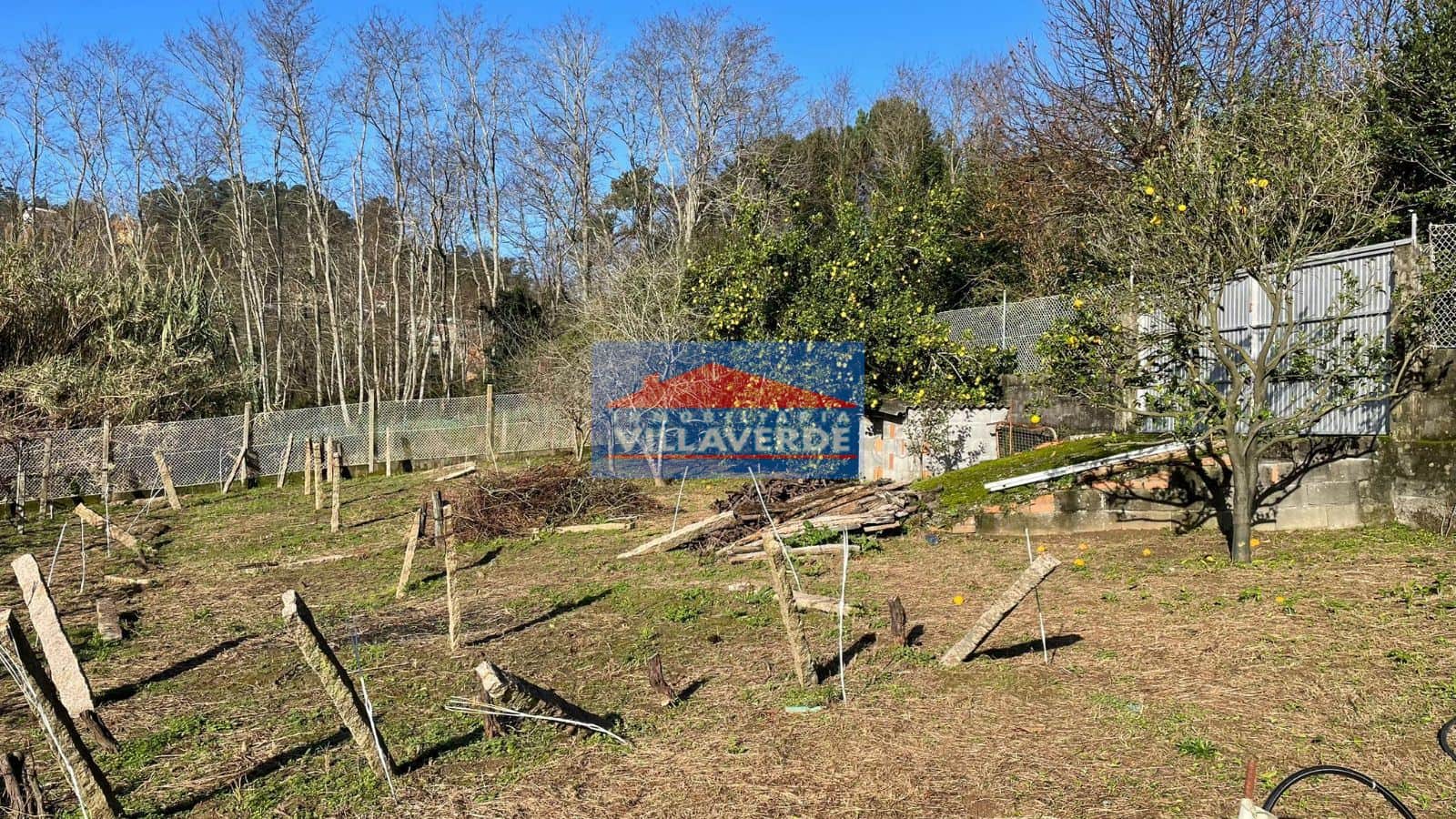 FINCA NO EDIFICABLE EN TIRÁN - Foto 5