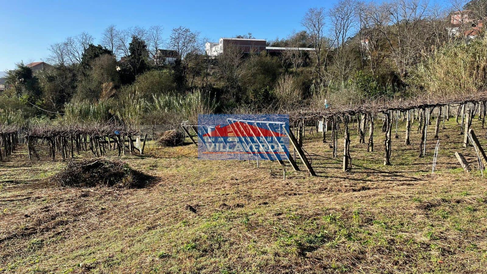 FINCA NO EDIFICABLE EN TIRÁN - Foto 1