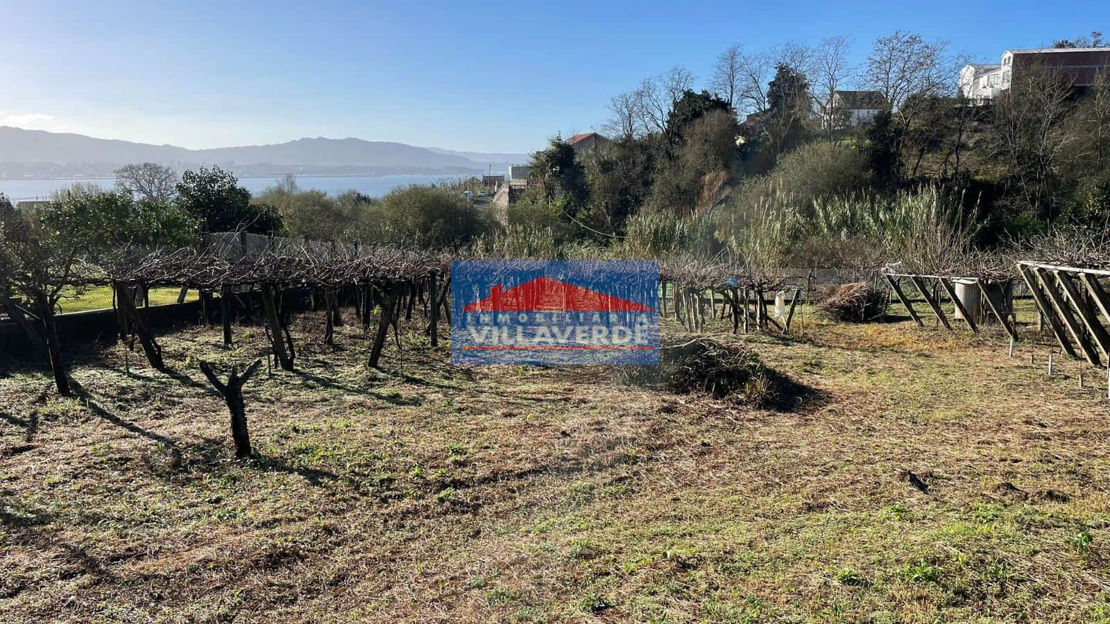 FINCA NO EDIFICABLE EN TIRÁN - Foto 2