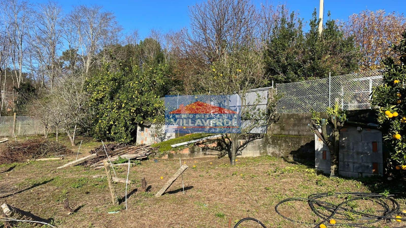 FINCA NO EDIFICABLE EN TIRÁN - Foto 4