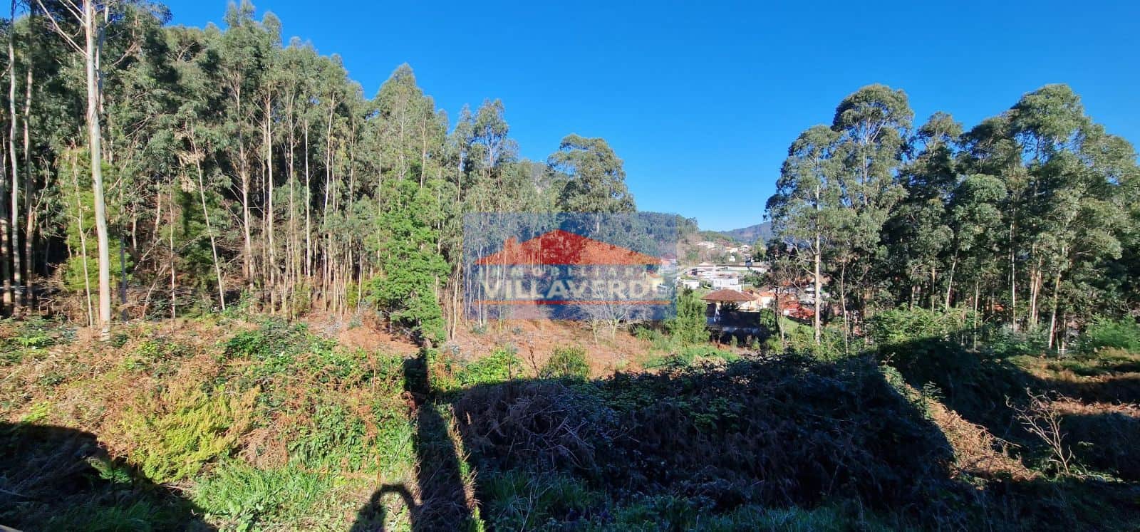 TERRENO EDIFCABLE EN SAN PEDRO - Foto 3