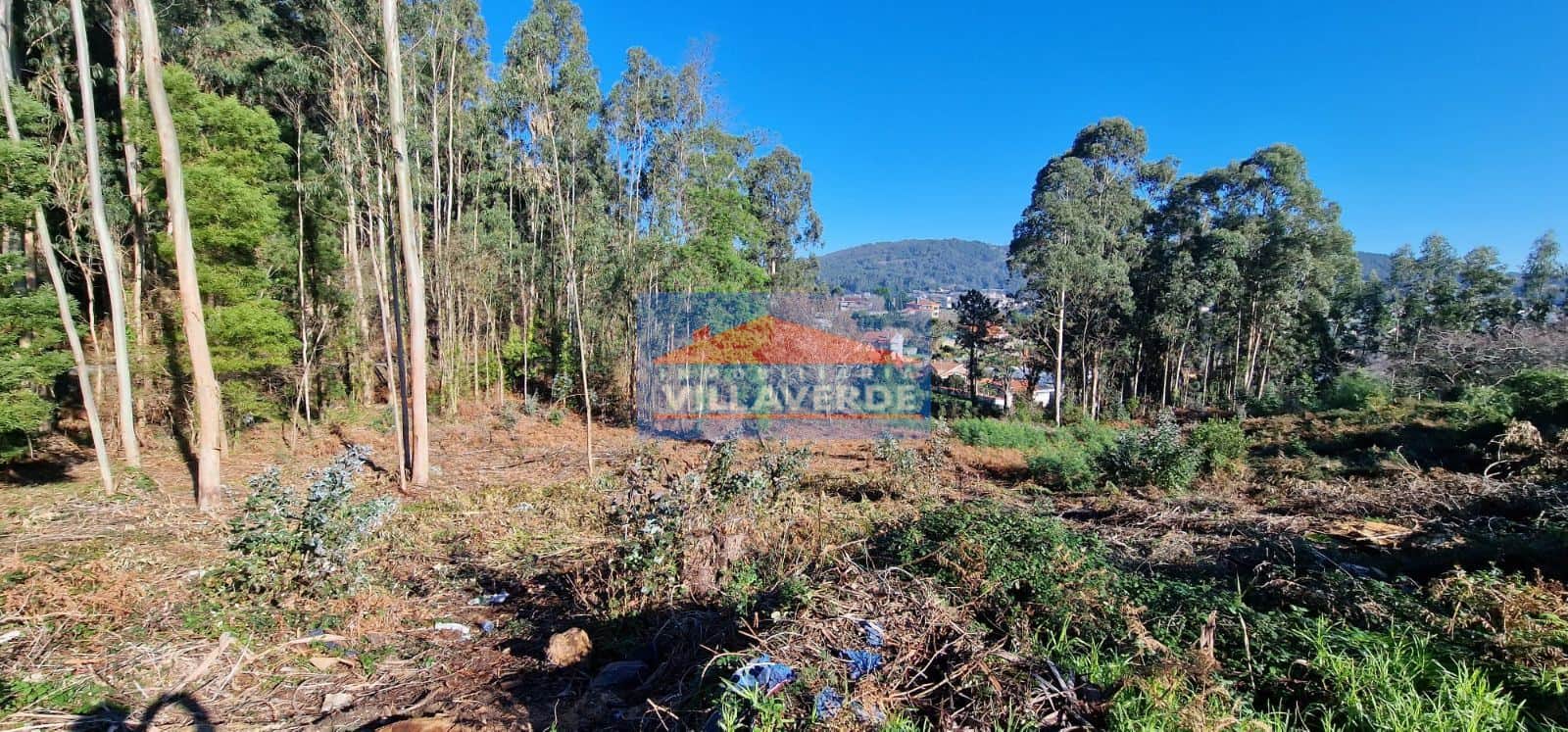 TERRENO EDIFCABLE EN SAN PEDRO - Foto 2