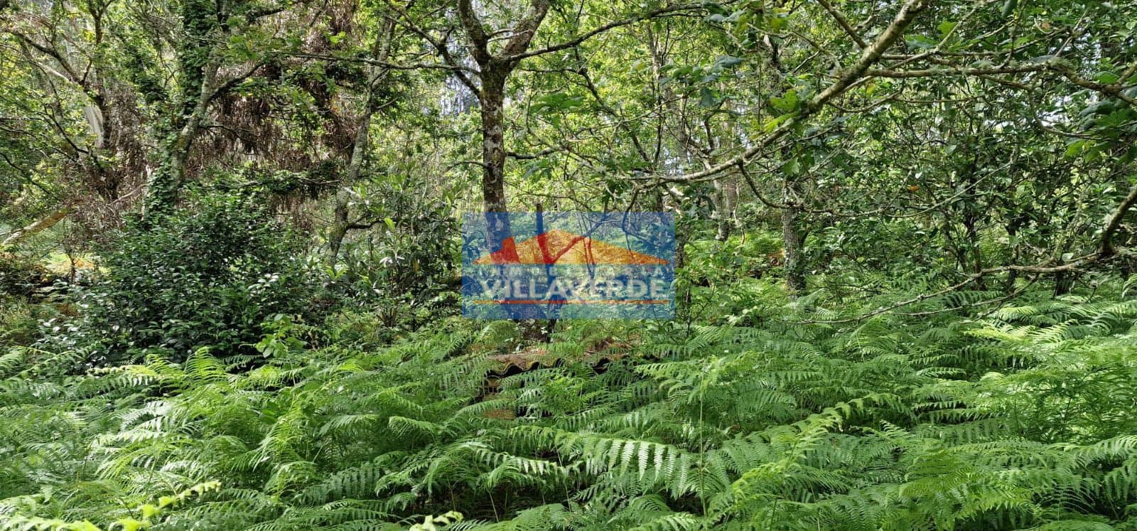 FINCA NO EDIFICABLE CON LUZ Y AGUA - Foto 5