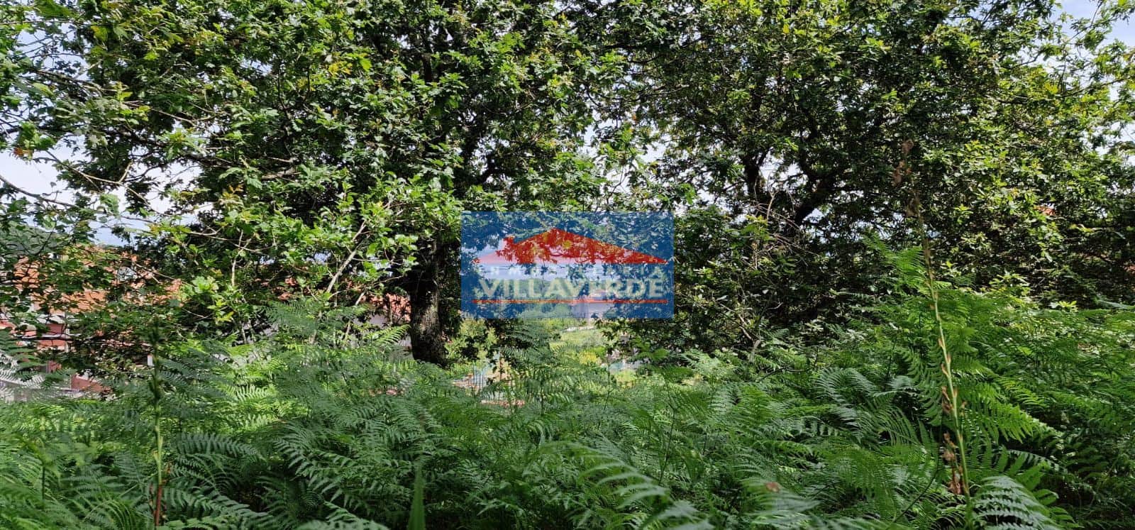 FINCA NO EDIFICABLE CON LUZ Y AGUA - Foto 1