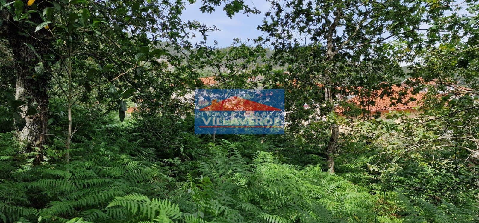 FINCA NO EDIFICABLE CON LUZ Y AGUA - Foto 2