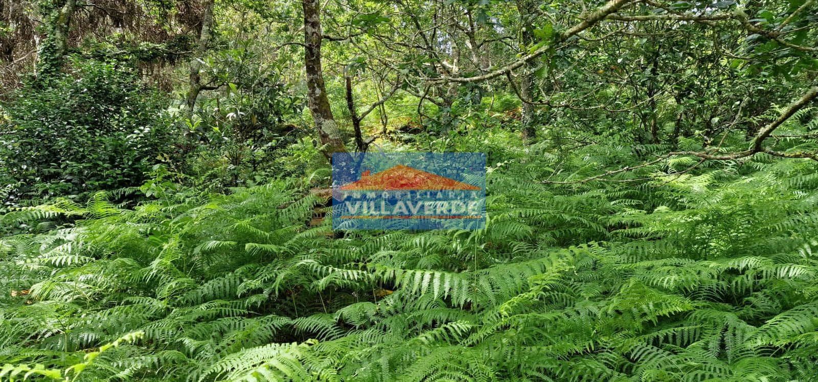 FINCA NO EDIFICABLE CON LUZ Y AGUA - Foto 3