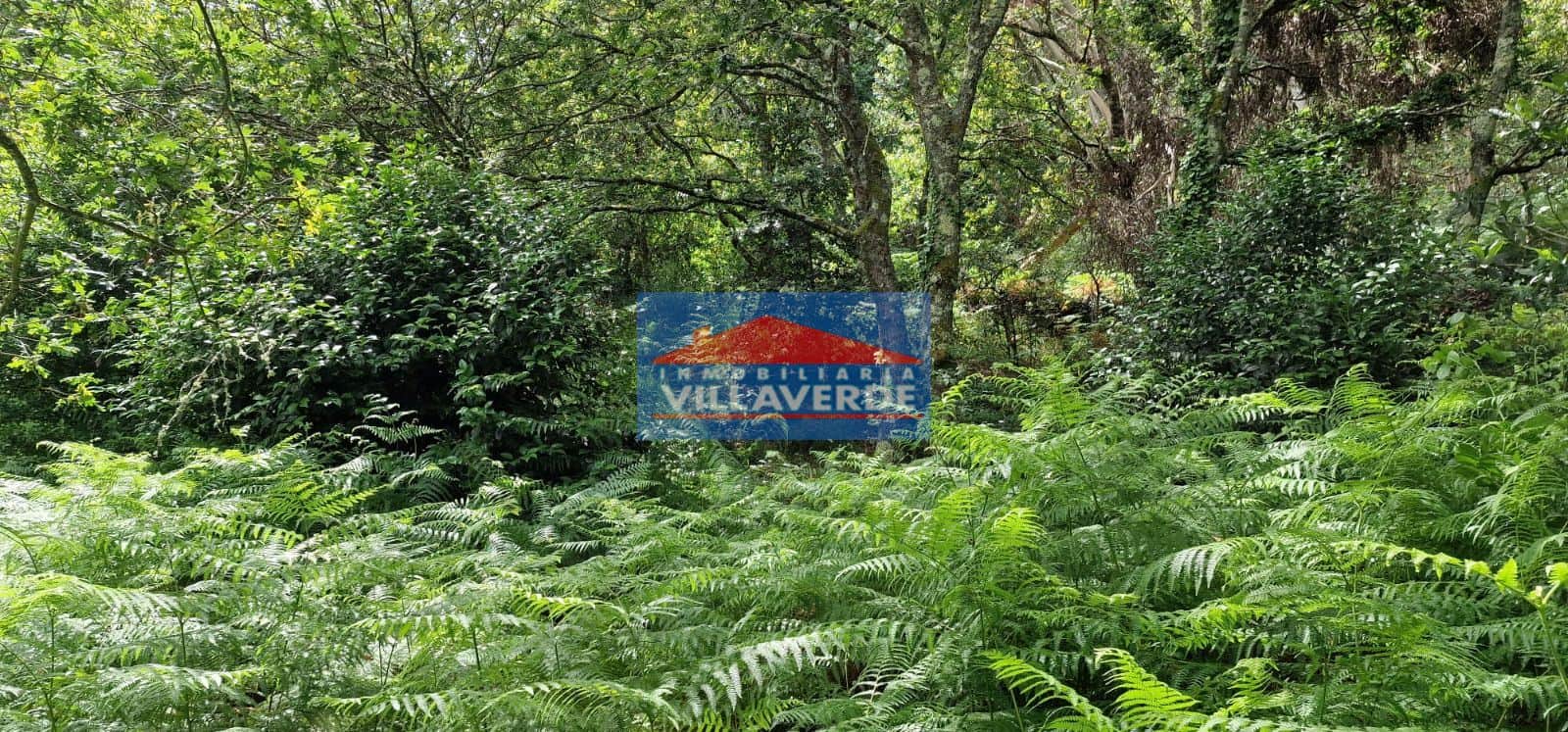 FINCA NO EDIFICABLE CON LUZ Y AGUA - Foto 4