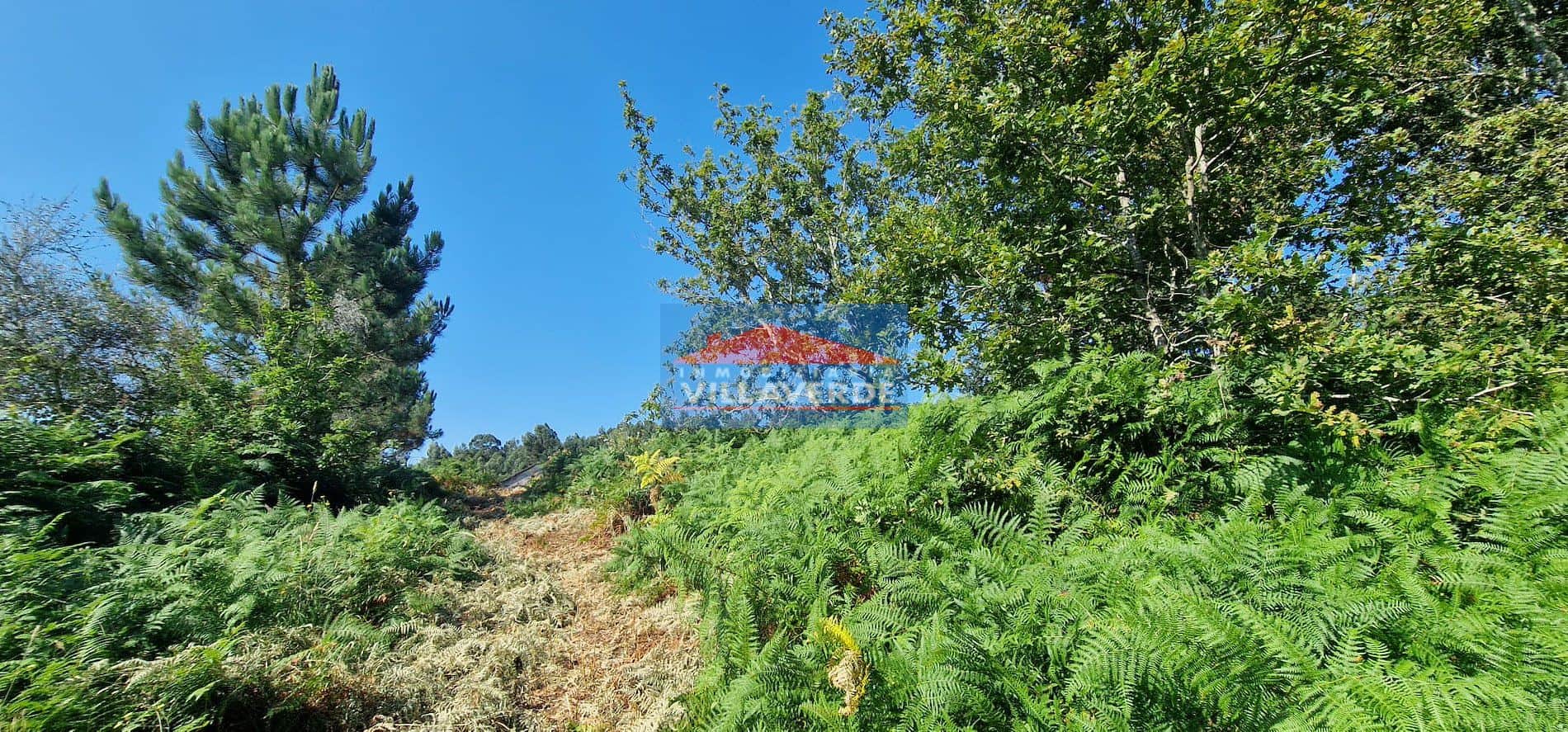 EN EXCLUSIVA. PARCELA EDIFICABLE EN CANGAS ZONA MAGADALENA - Foto 1