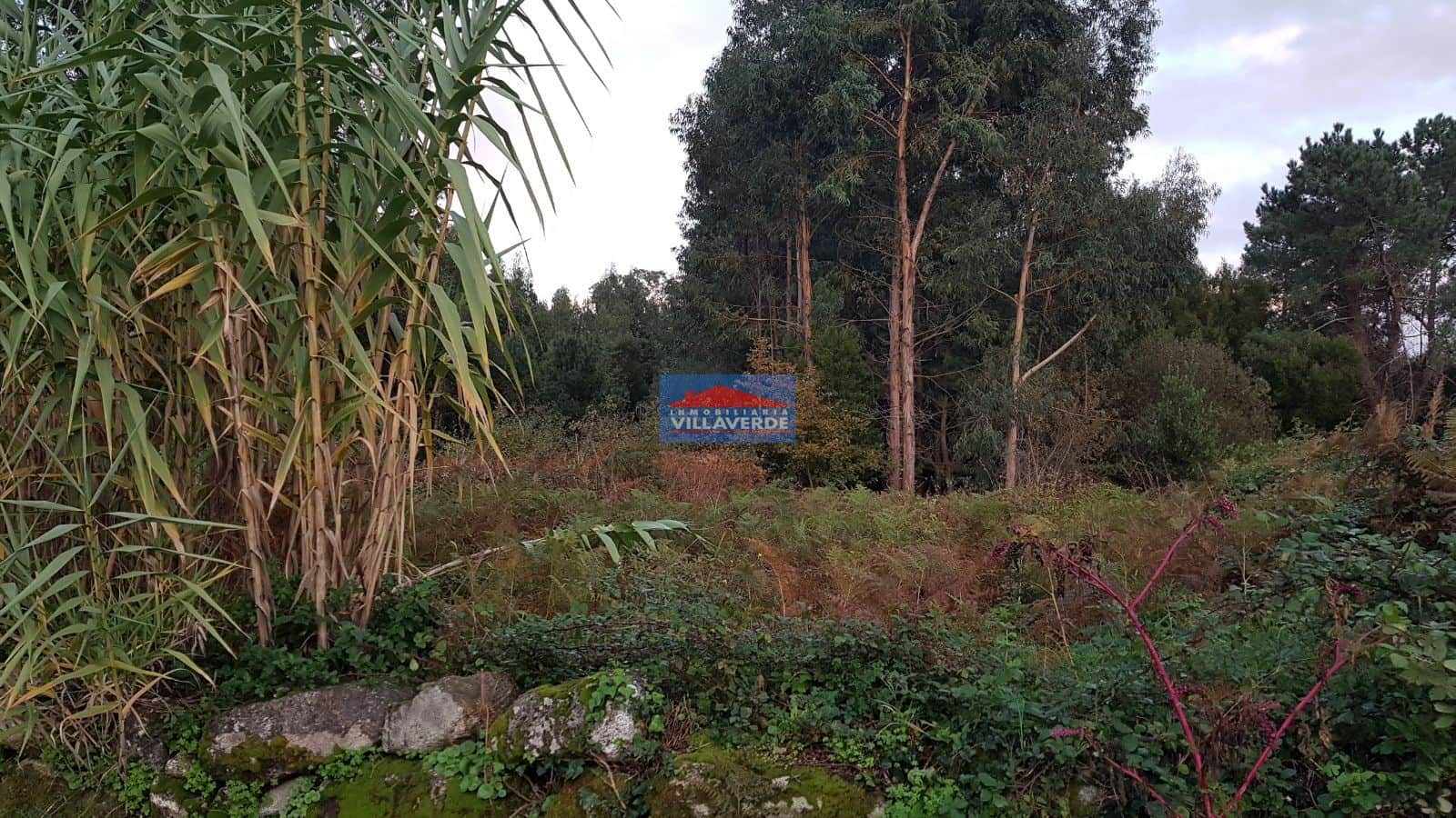 Terreno - Cangas - Foto 1