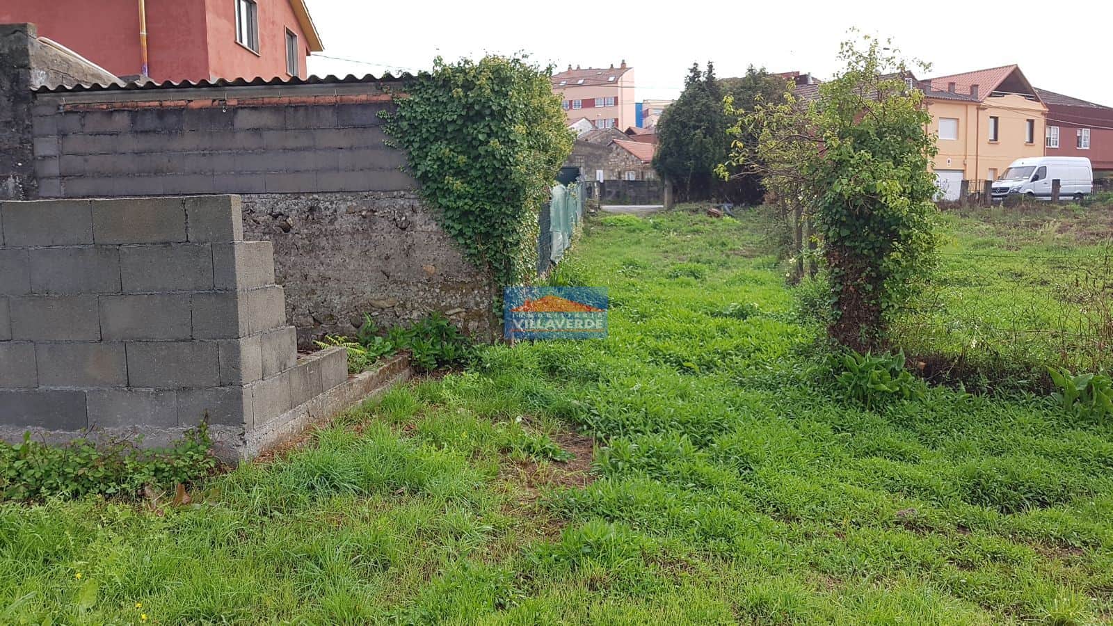 FINCA EN EL ESPÍRITU SANTO - Foto 3