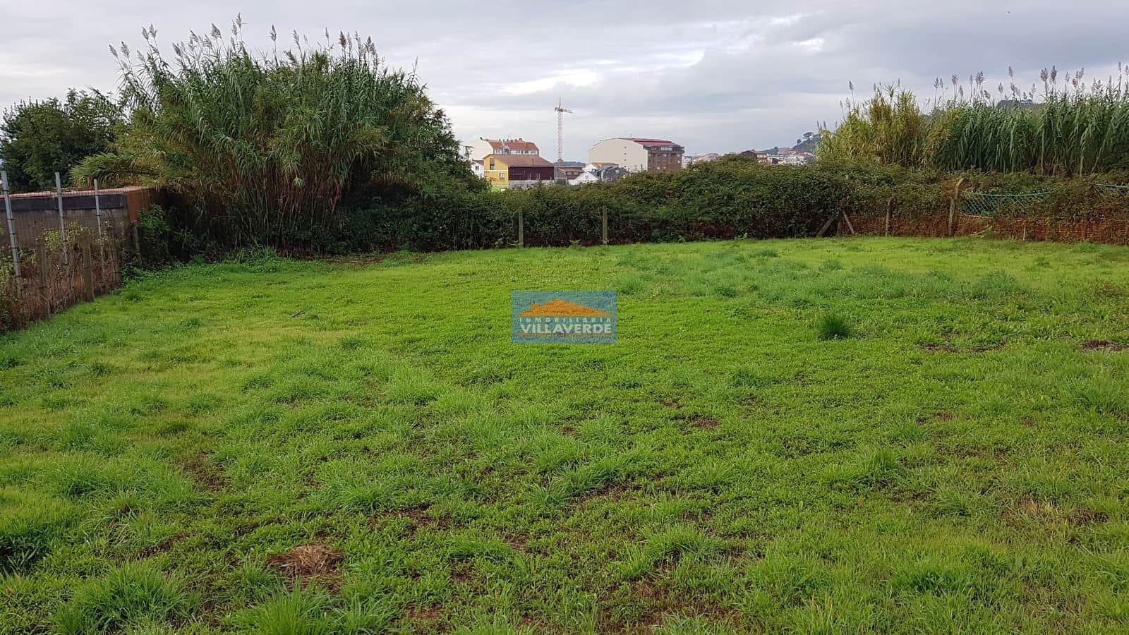 FINCA EN EL ESPÍRITU SANTO - Foto 5